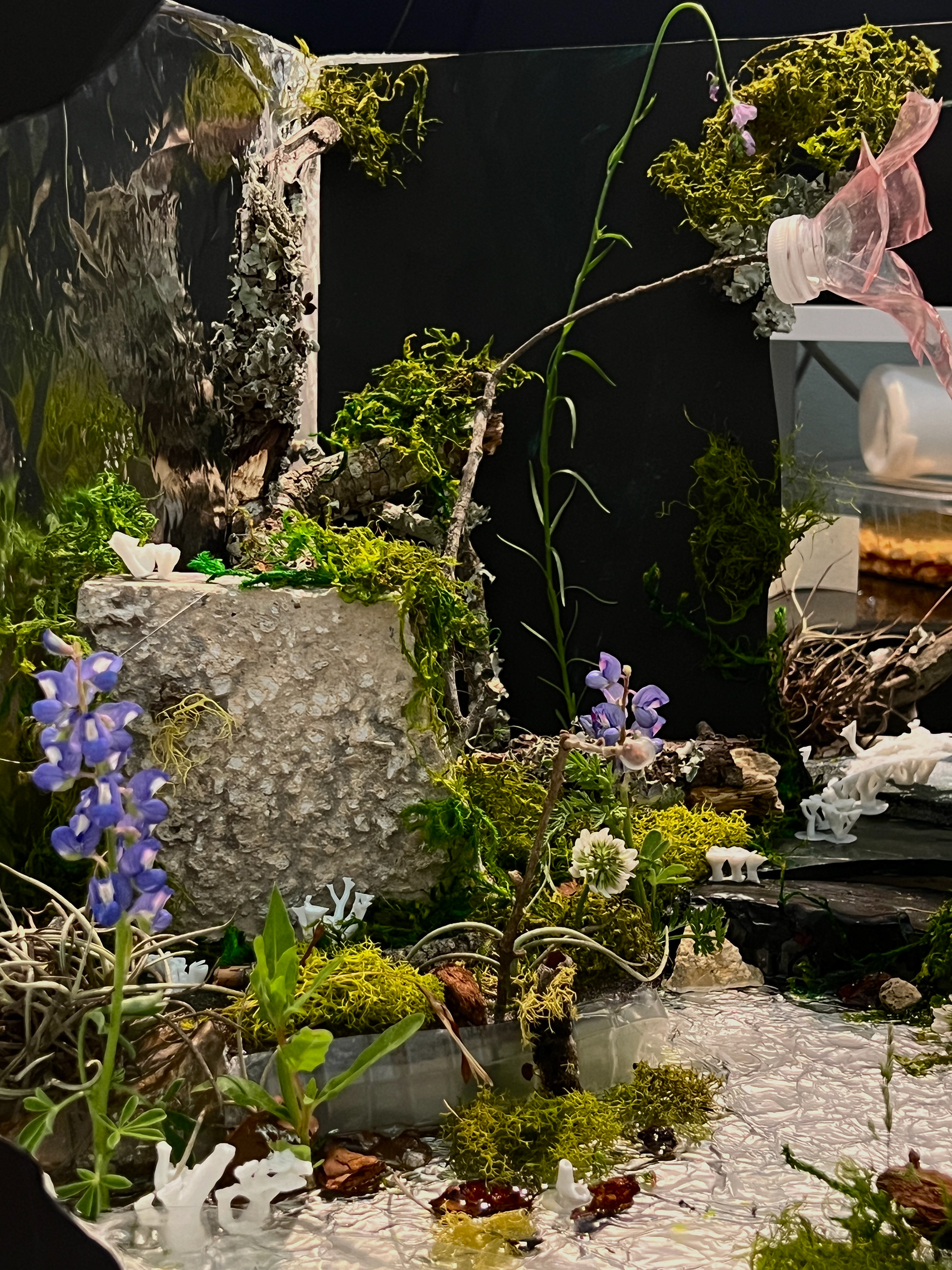 a corner of the diorama