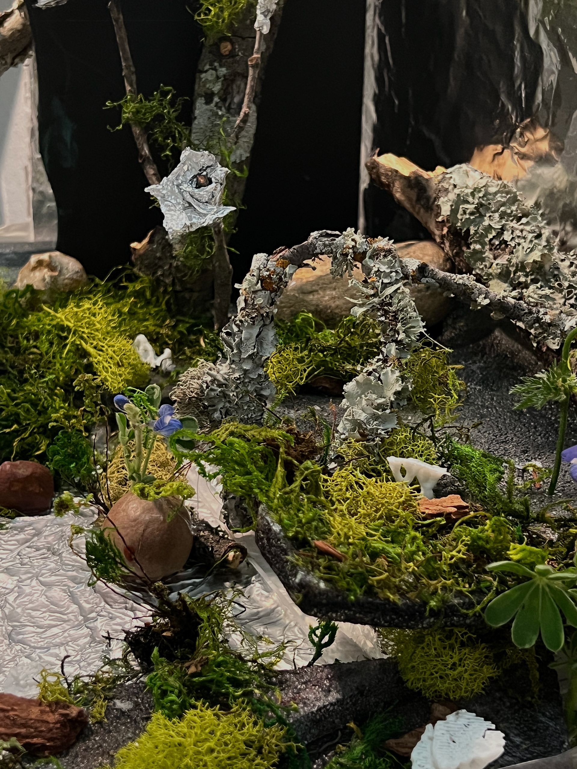 a corner of the diorama