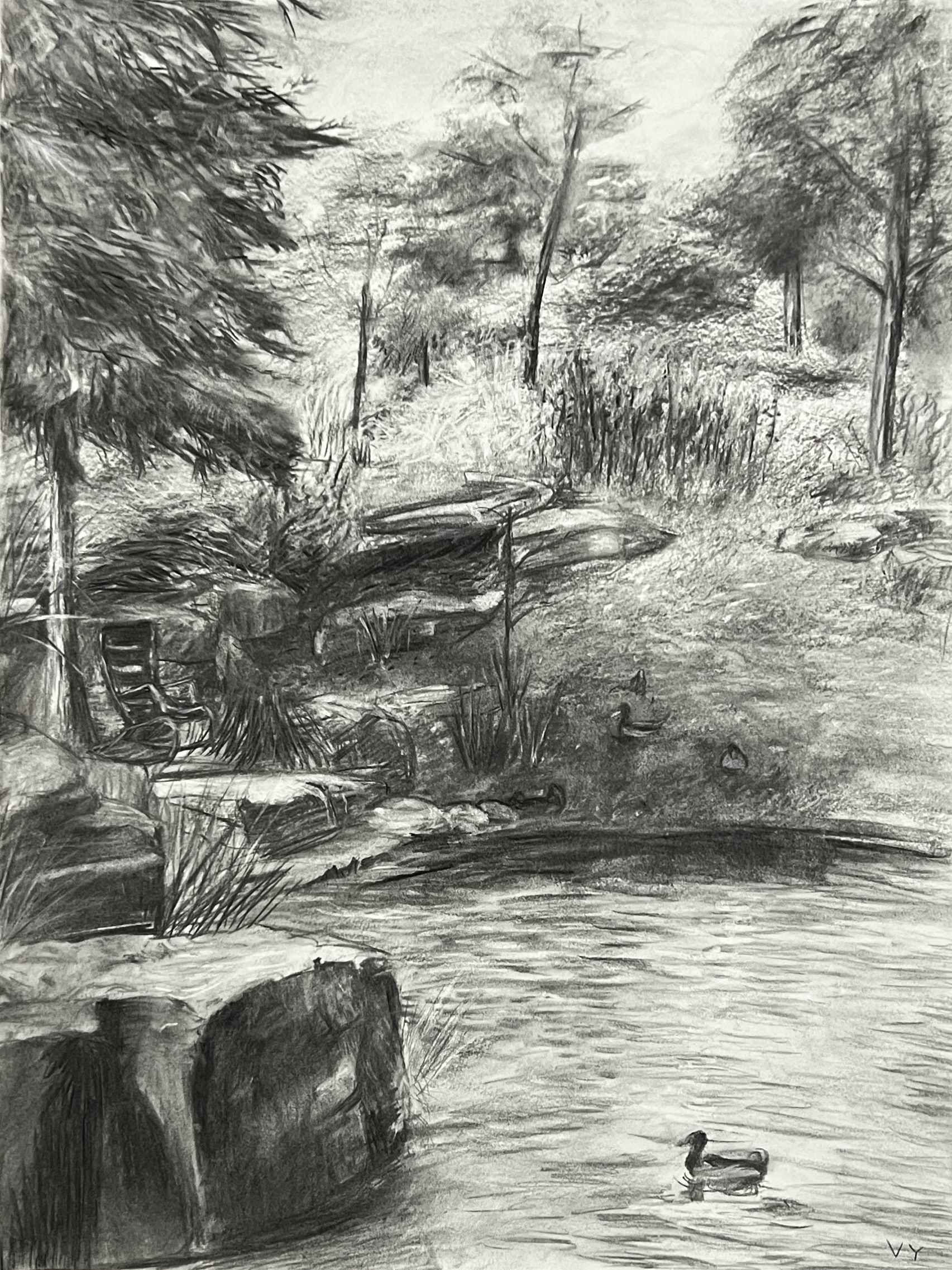 Aggie Park, charcoal vines, oct 2024, 18x24- Viz Fall Show 2024
