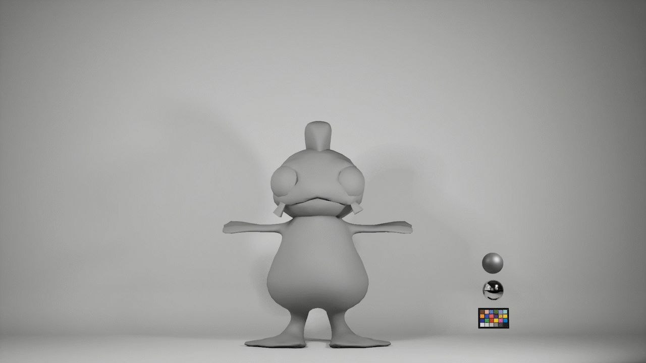 Duck Model
