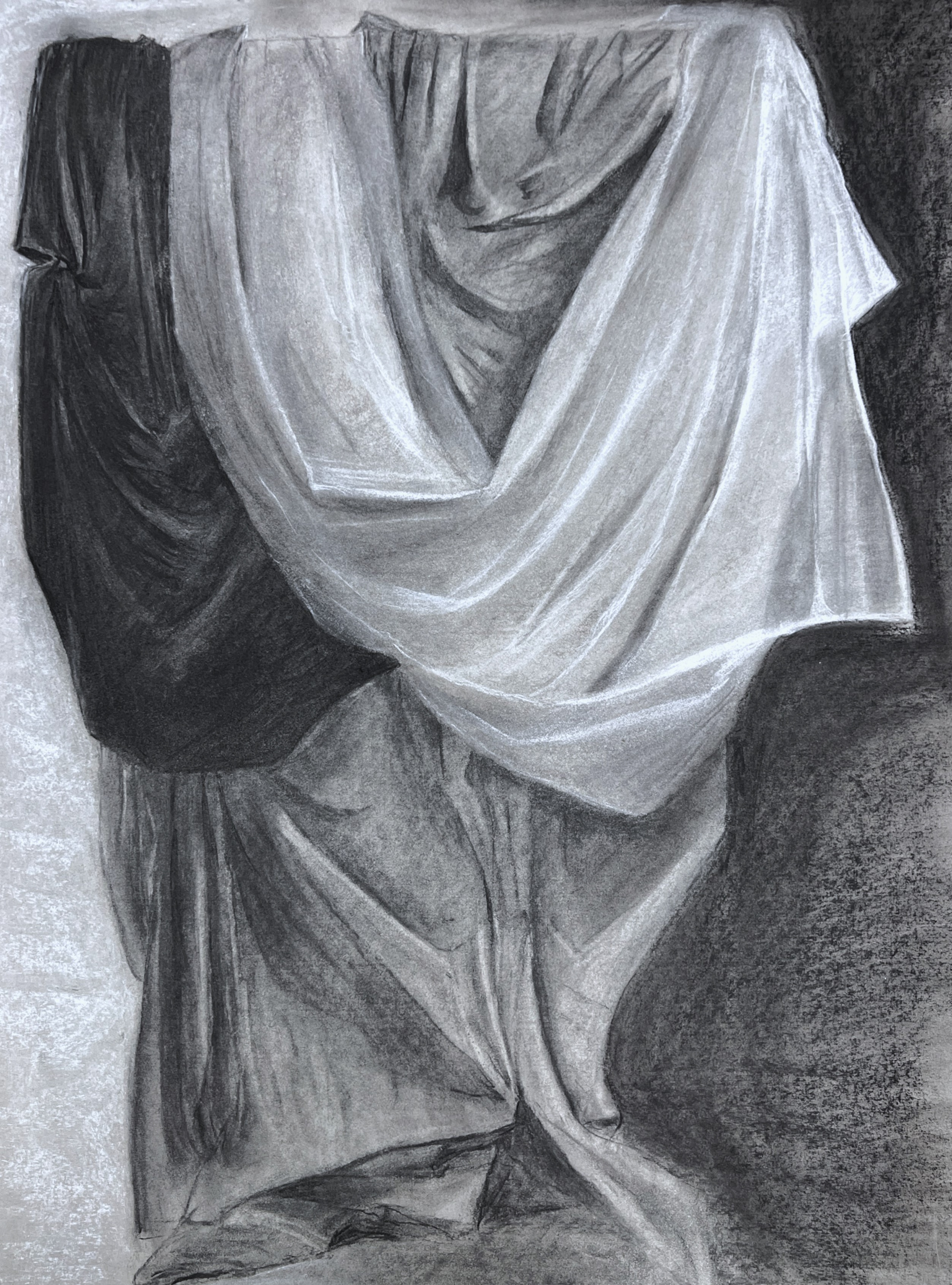 Draperies Study, Oct 2024, charcoal vines, white and black charcoal blocks, 18x24 
