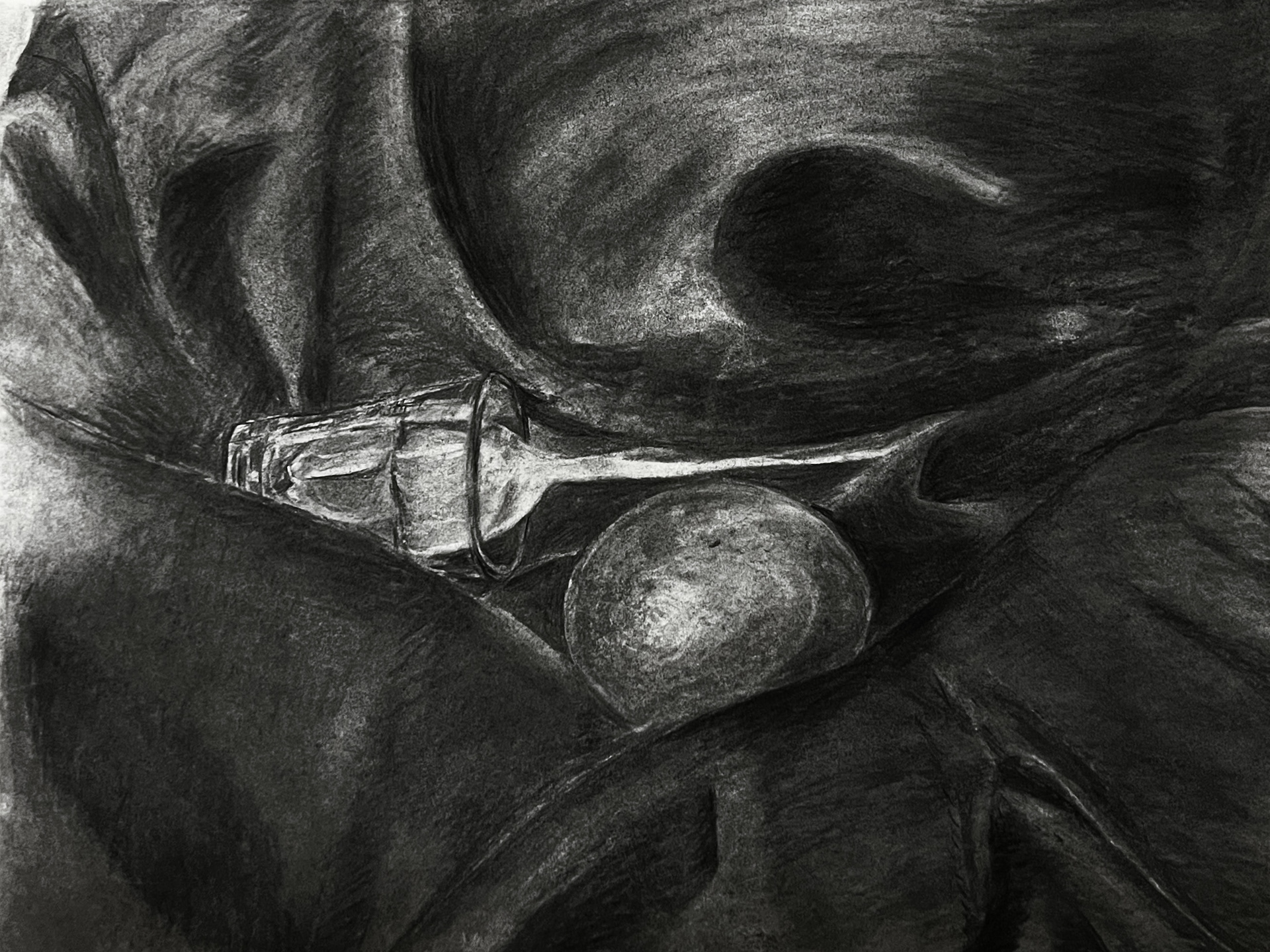 Home Still Life Homework, Oct 2024, Charcoal vines, 18x24