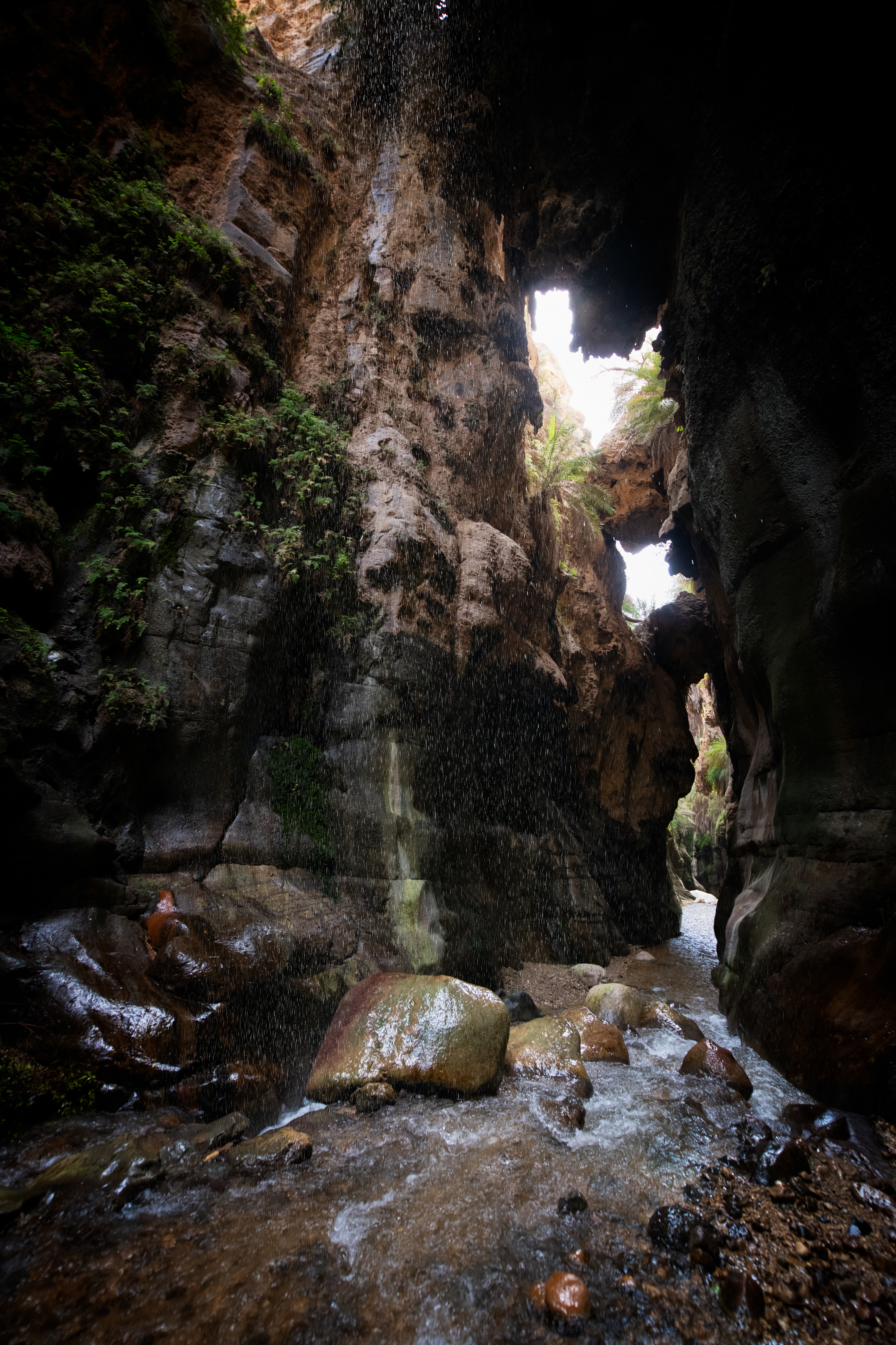 Wadi Mujib — the biblical Arnon, a canyon cutting down toward the Dead Sea. I went through several miles of it, past waterfall after waterfall, up metal ladders slick with moss, some standing right in the flow. The water ran surprisingly warm the whole way. No rescue down there. You went at your own risk. Worth every moment.