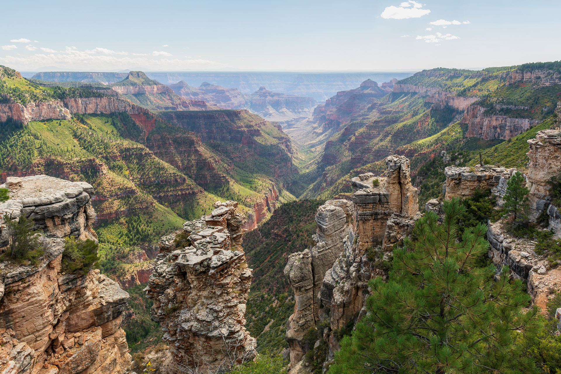 Point Sublime, North Rim — a name the geologist Clarence Dutton gave it in 1880, while the U.S. Geological Survey was cataloguing this stretch of canyon and needed something short of hyperbole for what he considered its single best view. Dutton went on to name most of the canyon's inner buttes and temples after world religions — Vishnu, Zoroaster, Osiris — but this overlook got a plainer, more editorial title, because by his own account no other spot showed him more of the canyon at once, both rims and the inner gorge together. It's still one of the more isolated viewpoints in the park: seventeen miles of unpaved, high-clearance road in, which is presumably part of why it still looks like this and not like a parking lot