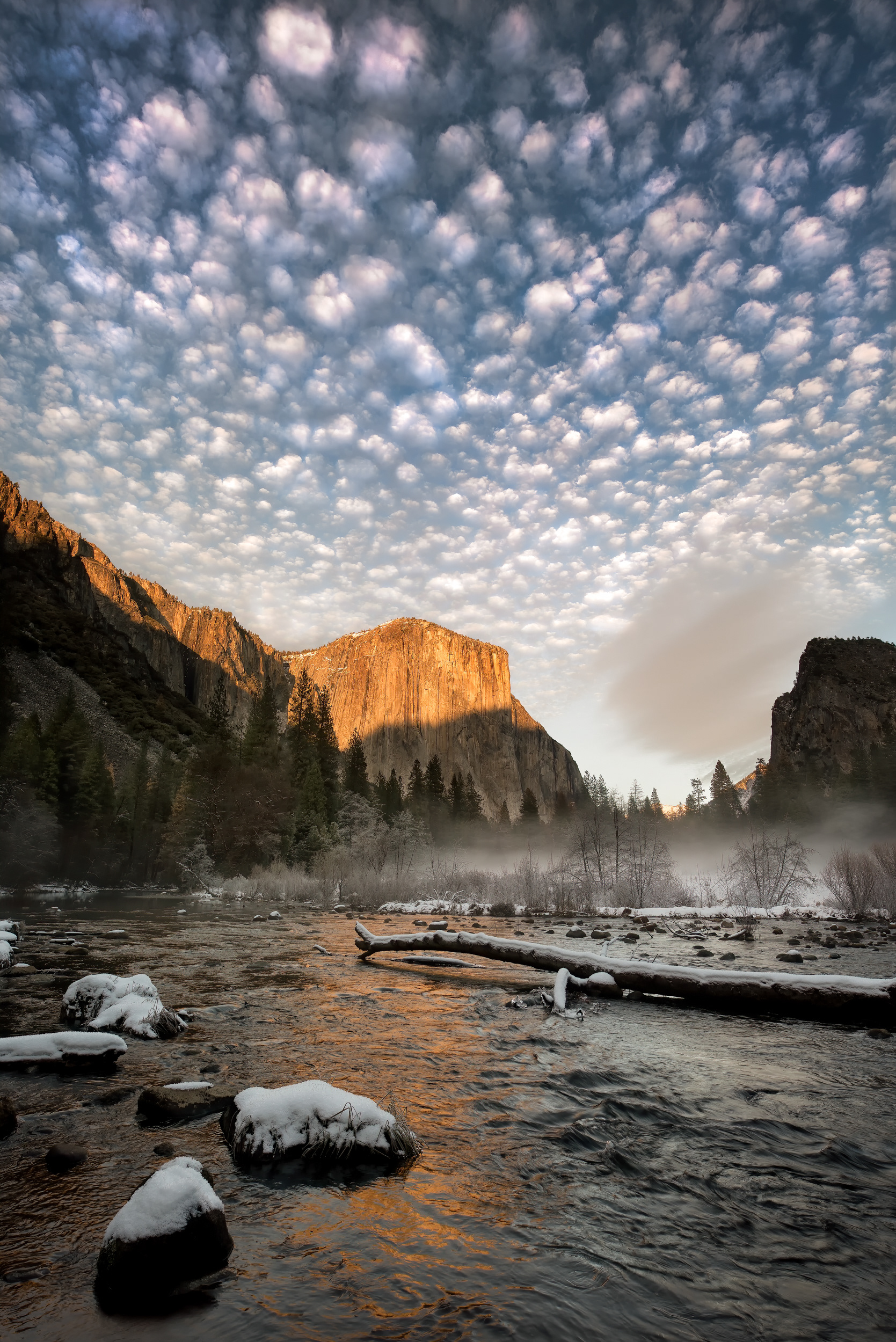 That sky, for what it's worth (and it's worth exactly as much as knowing the name of something helps you enjoy it more, which — debatable, but let's proceed as if yes) is altocumulus: mid-level, 6,500 to 23,000 feet, cloudlets bigger than a fingernail at arm's length, each one gray-shaded on its underside like it's self-conscious about something. It's the deck you get behind a clearing storm, specifically. Underneath it, for a few minutes nobody scheduled, El Capitan goes gold and the river's still steaming off last night's cold.