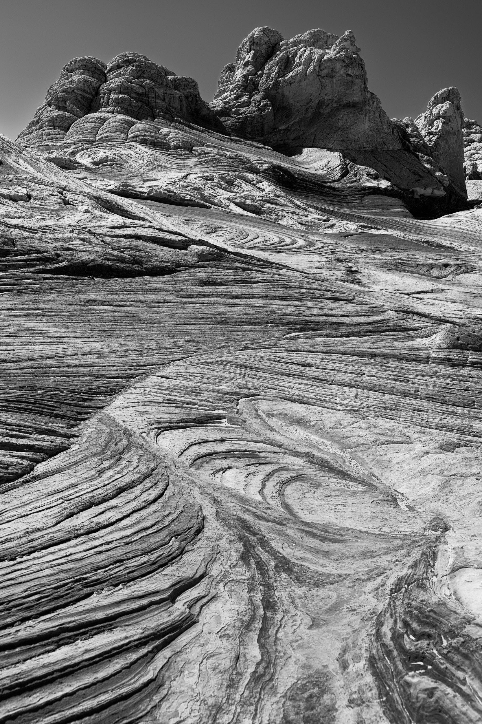 White Pocket, in black and white — with the red-and-white bleaching removed, what's left is just the texture: the folds, the polygons, the domes. That texture is the reason White Pocket exists as a distinct feature at all — a shallow basin in the Navajo Sandstone trapped extra wet sediment while it was being laid down, sediment that folded and buckled under its own weight in a way the drier dune sand for miles around never did. Strip the color and you're left looking at exactly that: a deformation event, still visible, still frozen mid-collapse about a hundred and ninety million years later.