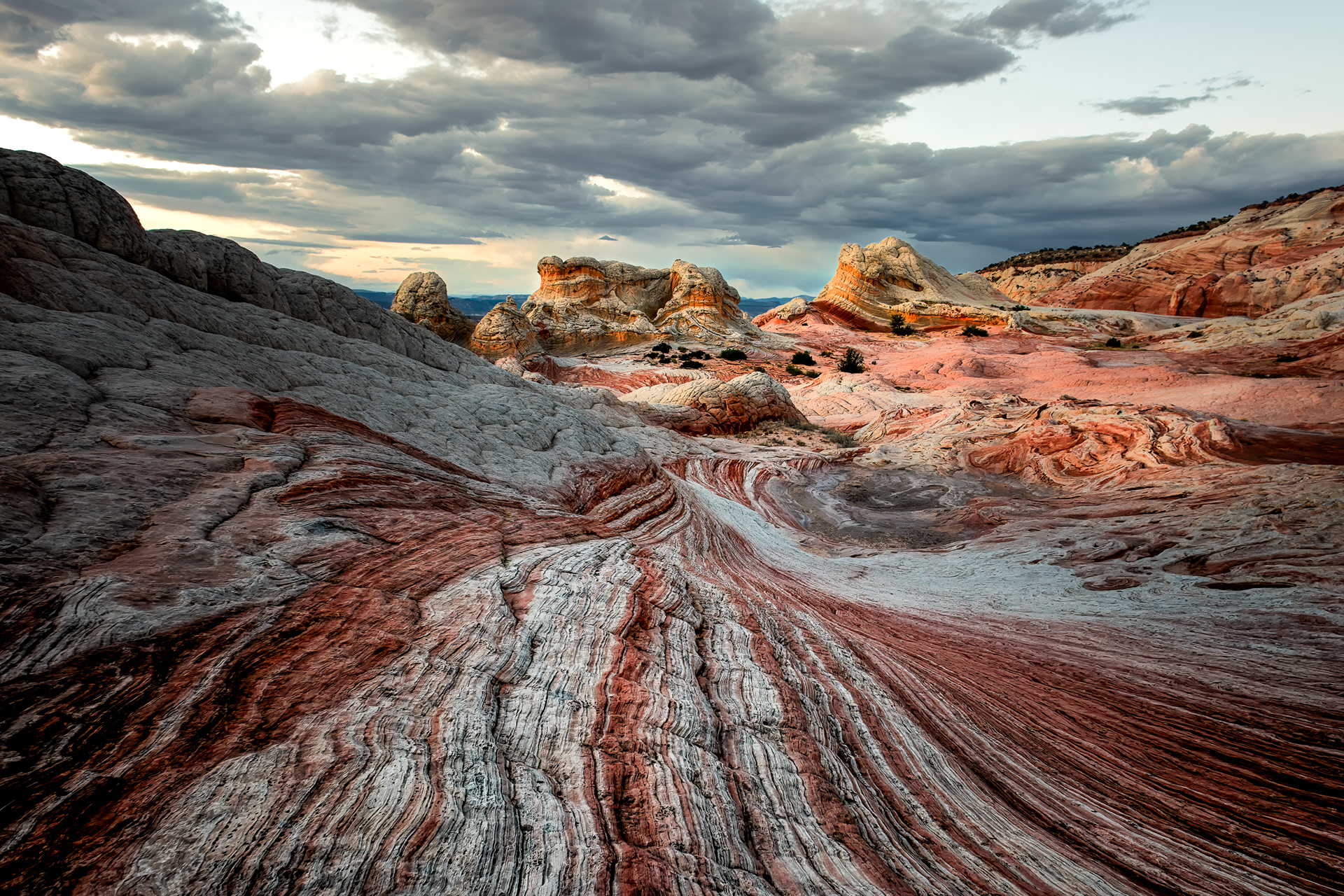 White Pocket, red and white swirled together in the same rock. Both colors come from iron: the red is hematite staining that never left, locked into the sand grains; the white bands are the same sandstone with that iron leached back out by groundwater moving through unevenly, bleaching it pale wherever the chemistry allowed. Same stone, same age, same original deposit — just two different chemical histories running side by side in bands a few inches apart, which is the part that looks designed and isn't.