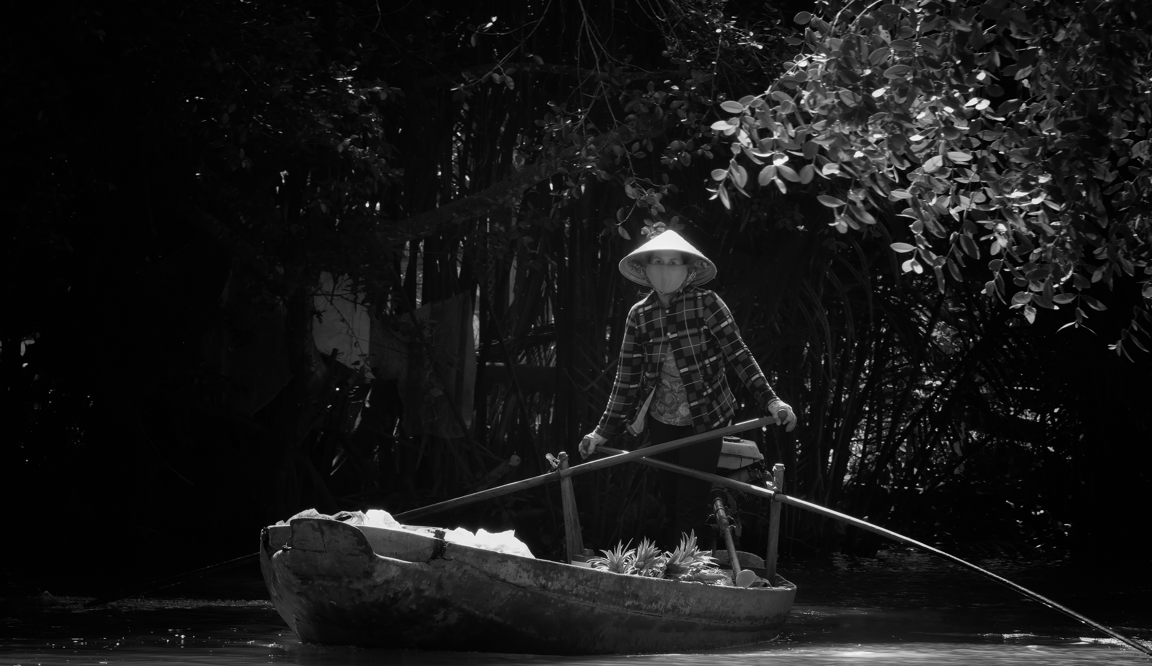 A smaller canal branching away from the main river and market. She was heading home with fresh produce — pineapples visible in the boat — caught for a moment in a shaft of light before disappearing back under the trees.