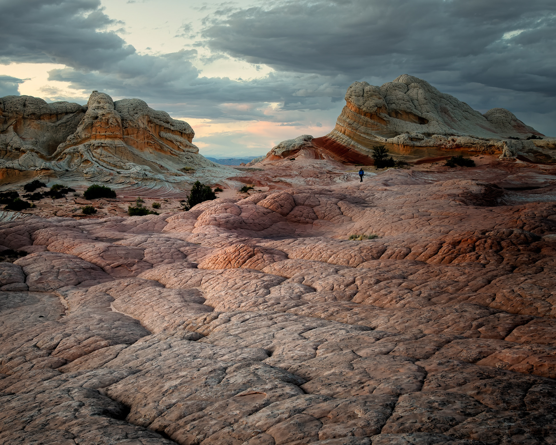 White Pocket, a figure for scale. The bumpy, cauliflower-like texture across these domes has its own name, "brain rock," and it comes from that same hardened crust cracking into a network of polygons — each one eroding fastest at its edges and slowest at its center, so the crust doesn't wear down flat, it wears down into rounded cells. None of that reads at actual size in most photographs; the domes are easy to misjudge by two or three feet in either direction until an actual body walks up next to one. This is what it takes to correct for that.