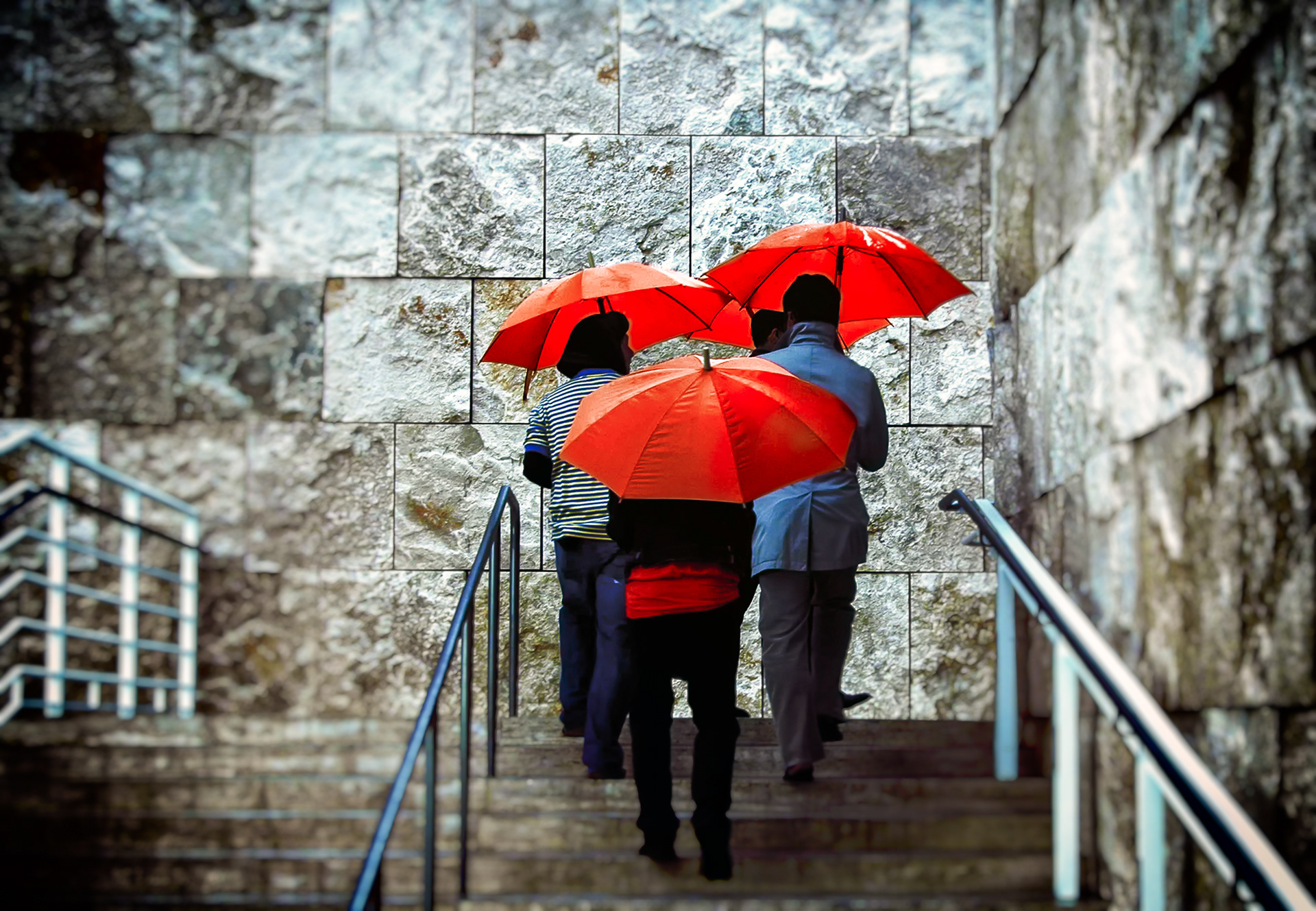 Three umbrellas, the Getty Center, rain. The original color of these umbrellas was unremarkable, the color of every complimentary object ever issued — I made them red. The stone underneath them is travertine from a quarry in Tivoli, Italy — the same source Rome has been pulling from for about two thousand years — split open with a guillotine instead of sawn, specifically so the rough natural texture, and whatever got trapped in it, would still show. What got trapped in it: leaves, feathers, algae, one fossilized animal footprint nobody's fully identified, all somewhere between 8,000 and 80,000 years old.