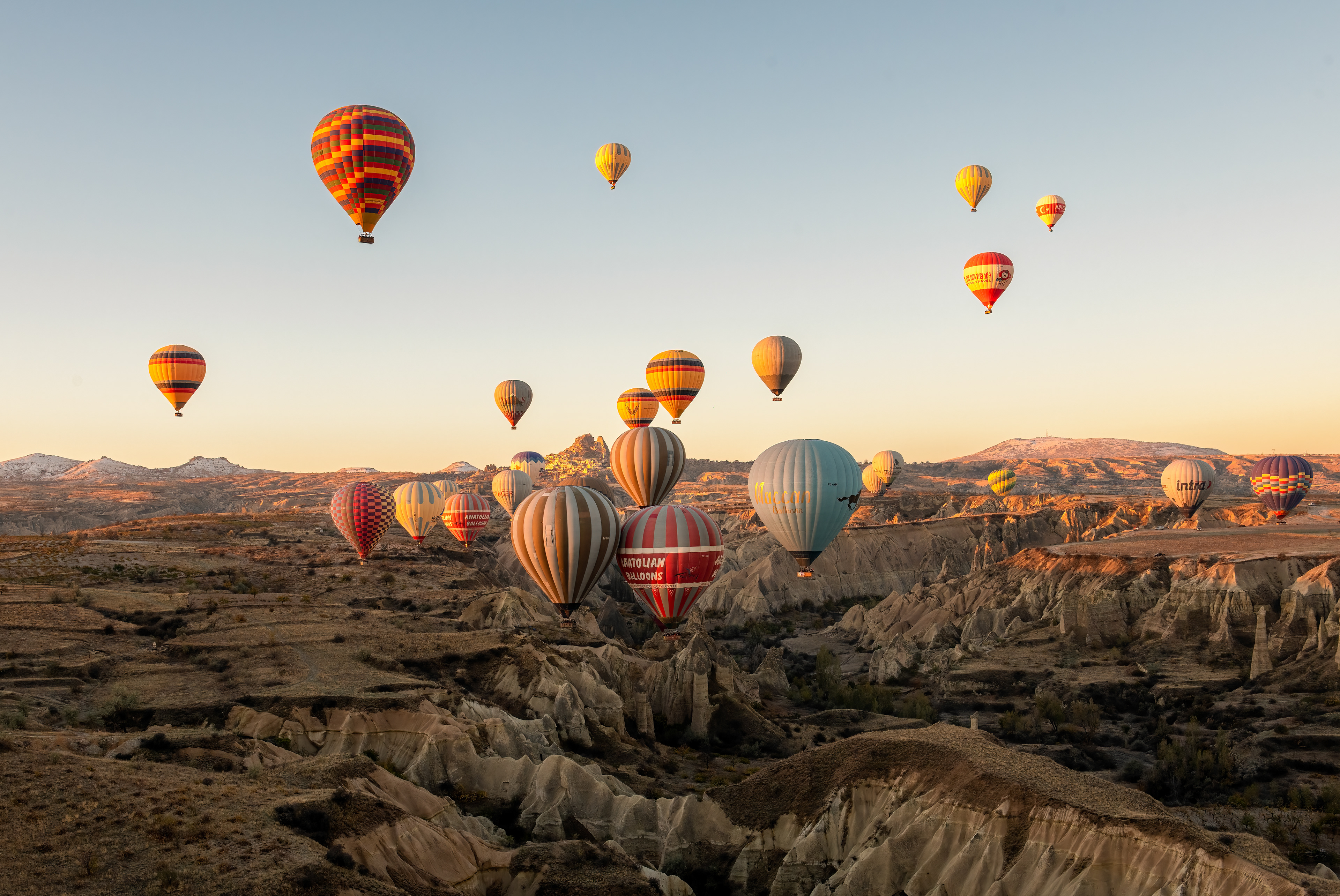 Golden hour, and specifically the morning half of it, the only half Cappadocia's balloons ever fly in, since the cooler, denser air right after dawn is what gives them their lift in the first place. Two dozen or so scattered across the sky in this one frame, each catching that same low, warm light on its own schedule, already drifting apart the way a fleet this size always does within a few minutes of launch — the spacing and light landing together.