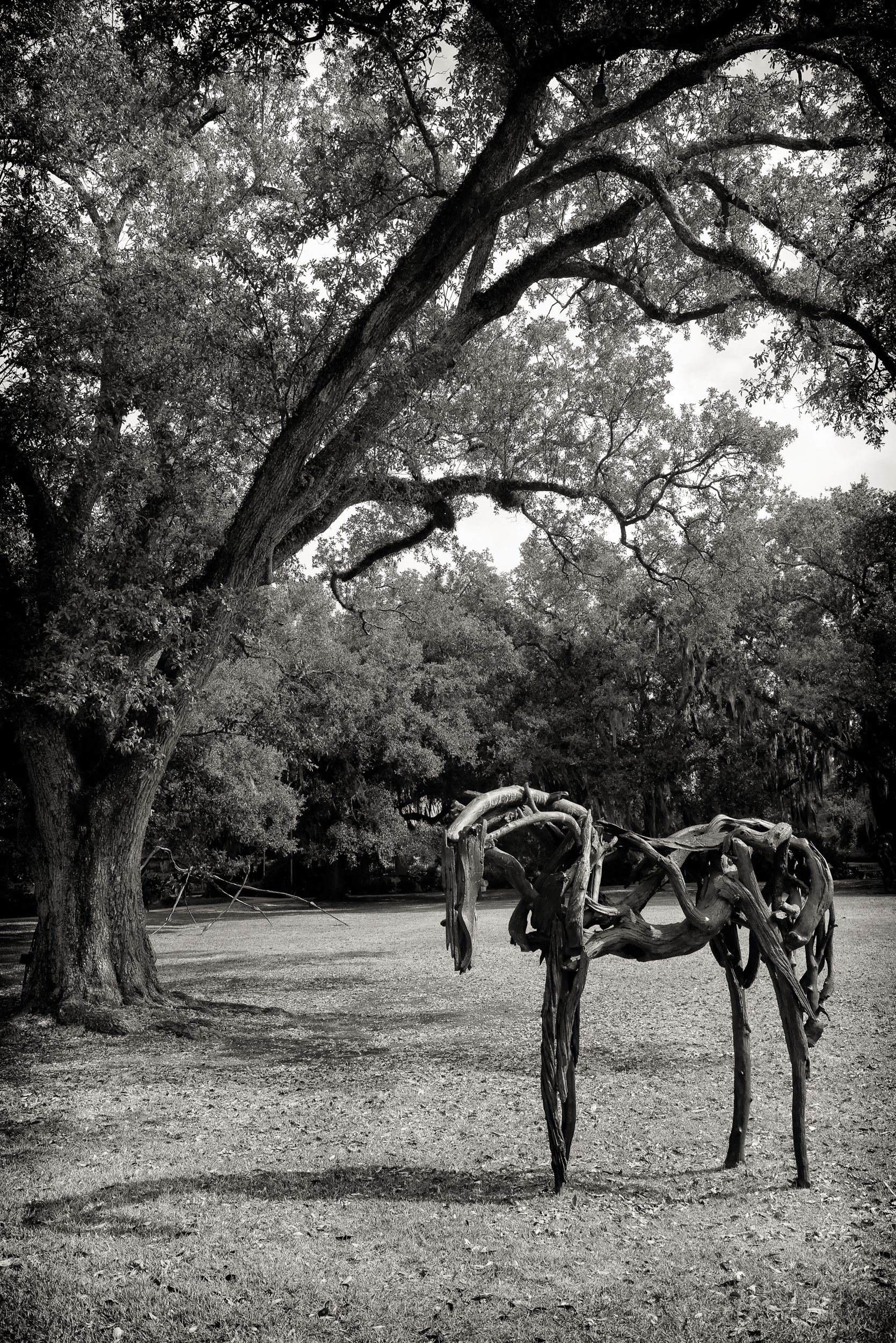 Restrained, 1999, Deborah Butterfield — cast bronze, not actual wood, despite looking exactly like driftwood and branches. That's her whole technique: build it from real wood, then cast each piece in bronze and reassemble it. It's in the Besthoff Sculpture Garden at City Park