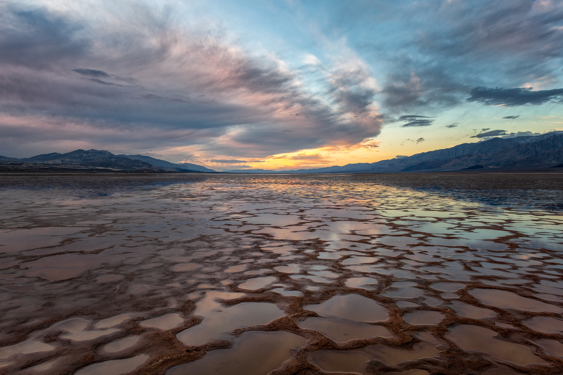 Badwater Basin, Death Valley, mid-morning — 282 feet below sea level, the lowest point in North America, with a small sign bolted to the cliff face above marking where sea level actually is, in case the couple hundred feet of air over your head weren't making the point clearly enough. The polygons underfoot aren't carved or arranged by anyone. Groundwater rises up through the salt deposits, evaporates, and leaves the crust a little thicker each cycle, over however many years it took, until the cracks settle into a pattern that looks too geometric to be an accident and is one anyway. The name traces back to a nineteenth-century surveyor whose mule flatly refused to drink from a spring-fed pool here. Turns out the water's just salty, not actually bad — but nobody circled back to rename the place once that got sorted out, so it's been Badwater ever since, on the word of an unimpressed mule