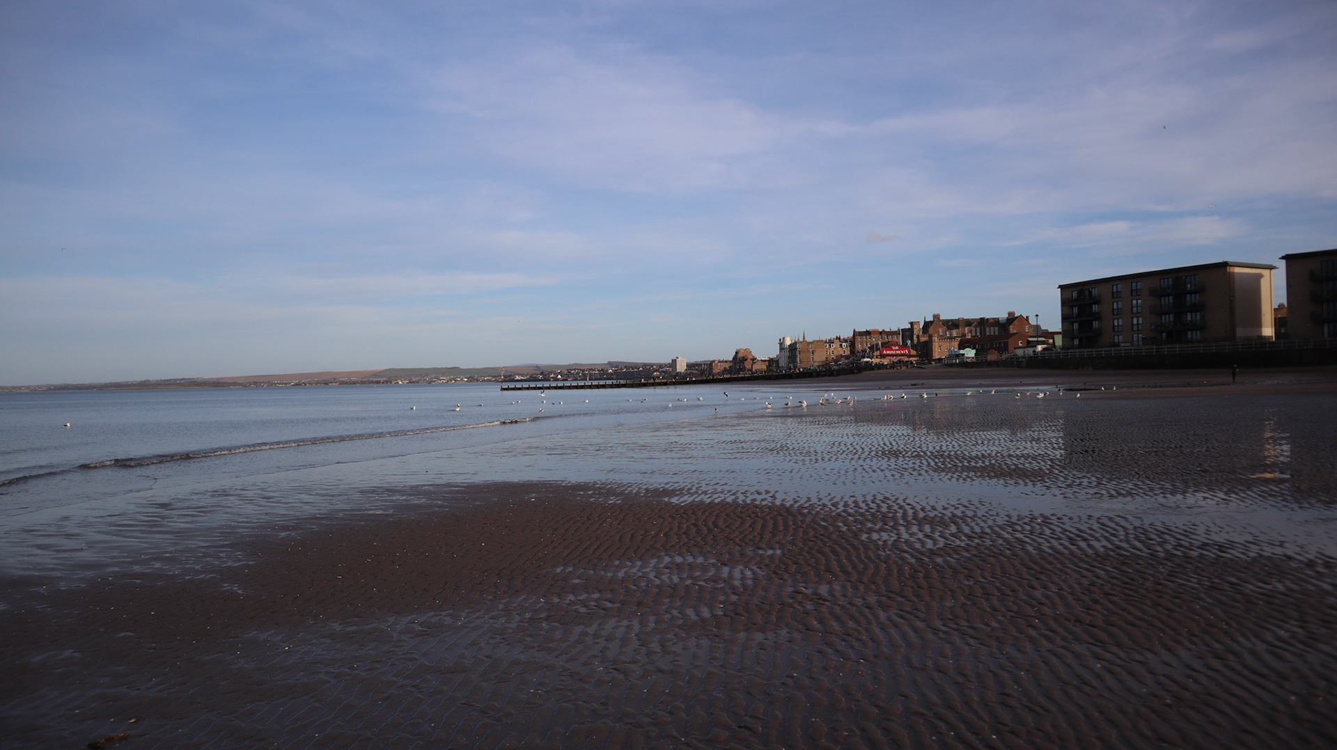 2022-03-18 - Portabello