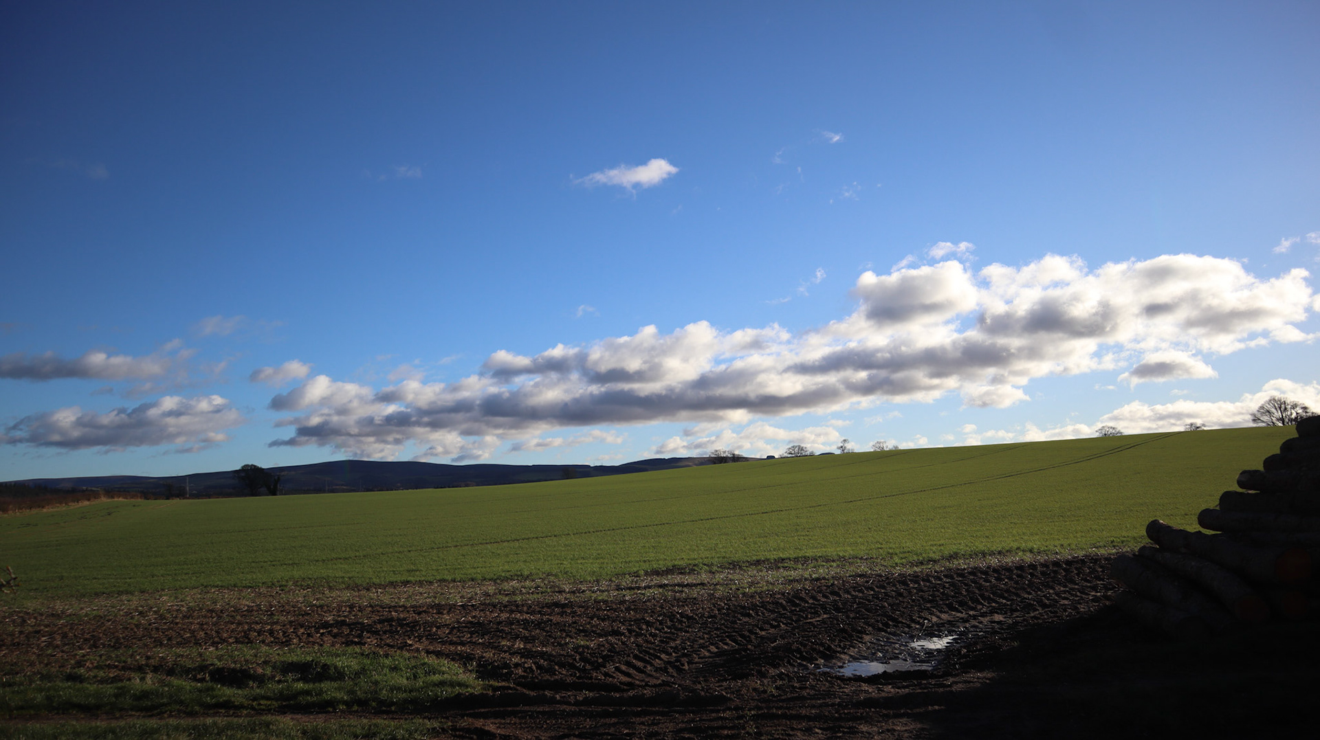 2022-01-27 - Cool clouds near home