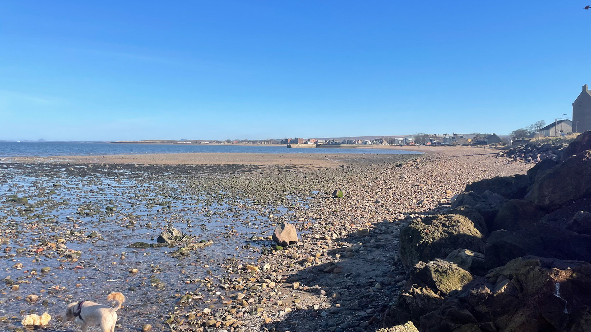 2022-03-07 - Musselburgh