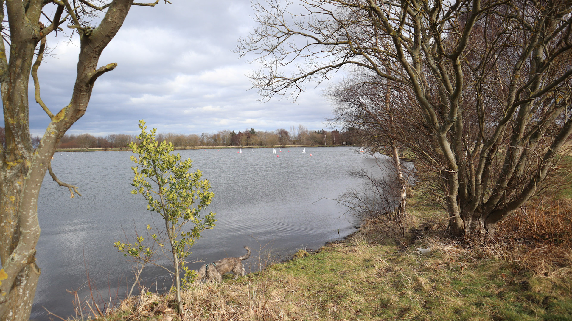 2022-02-26 - Mini boats at Musselburgh Lagoons