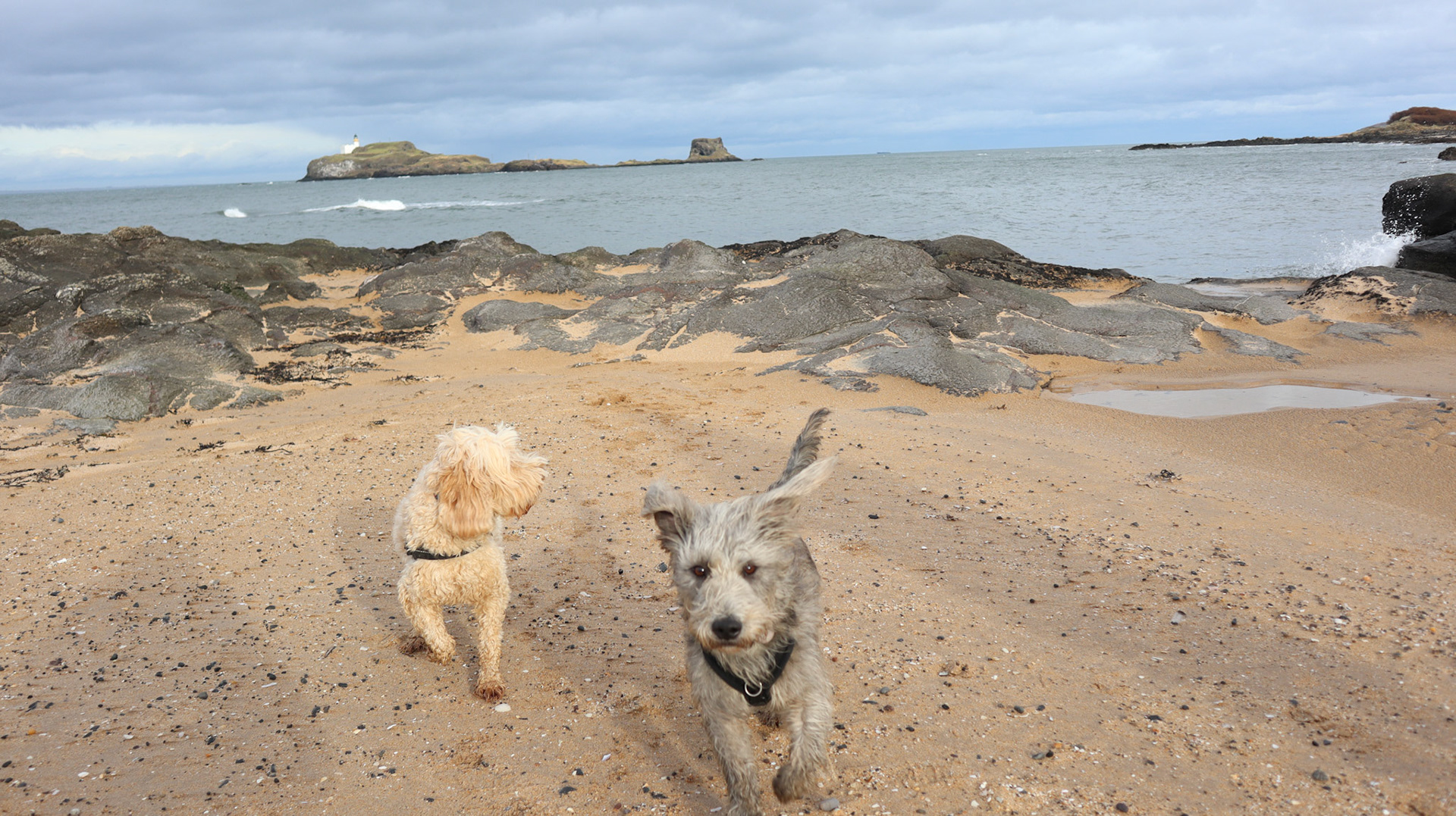 2022-02-12 - The Boys at Yellowcraig