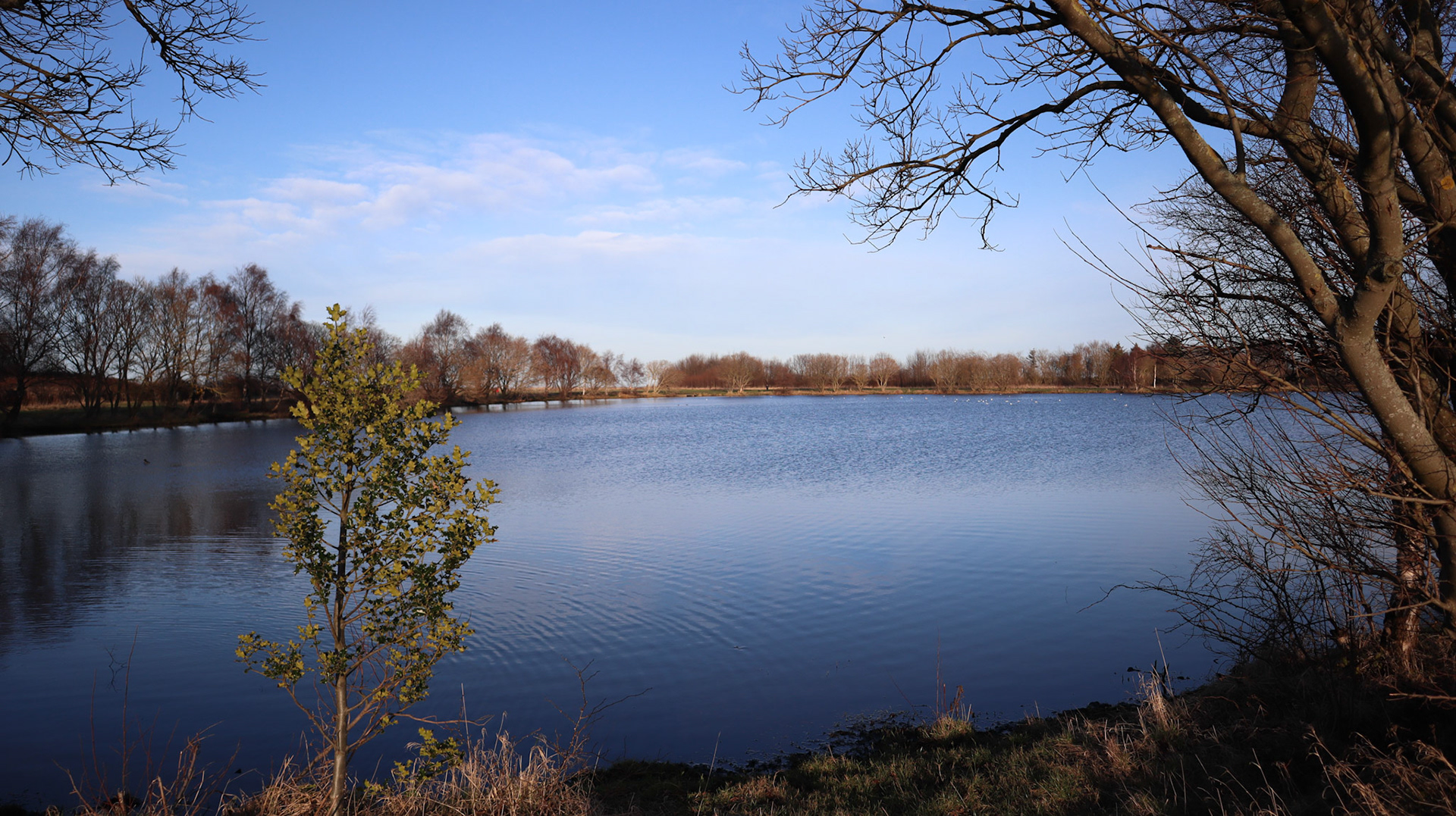 2022-01-16 - Musselburgh Lagoons