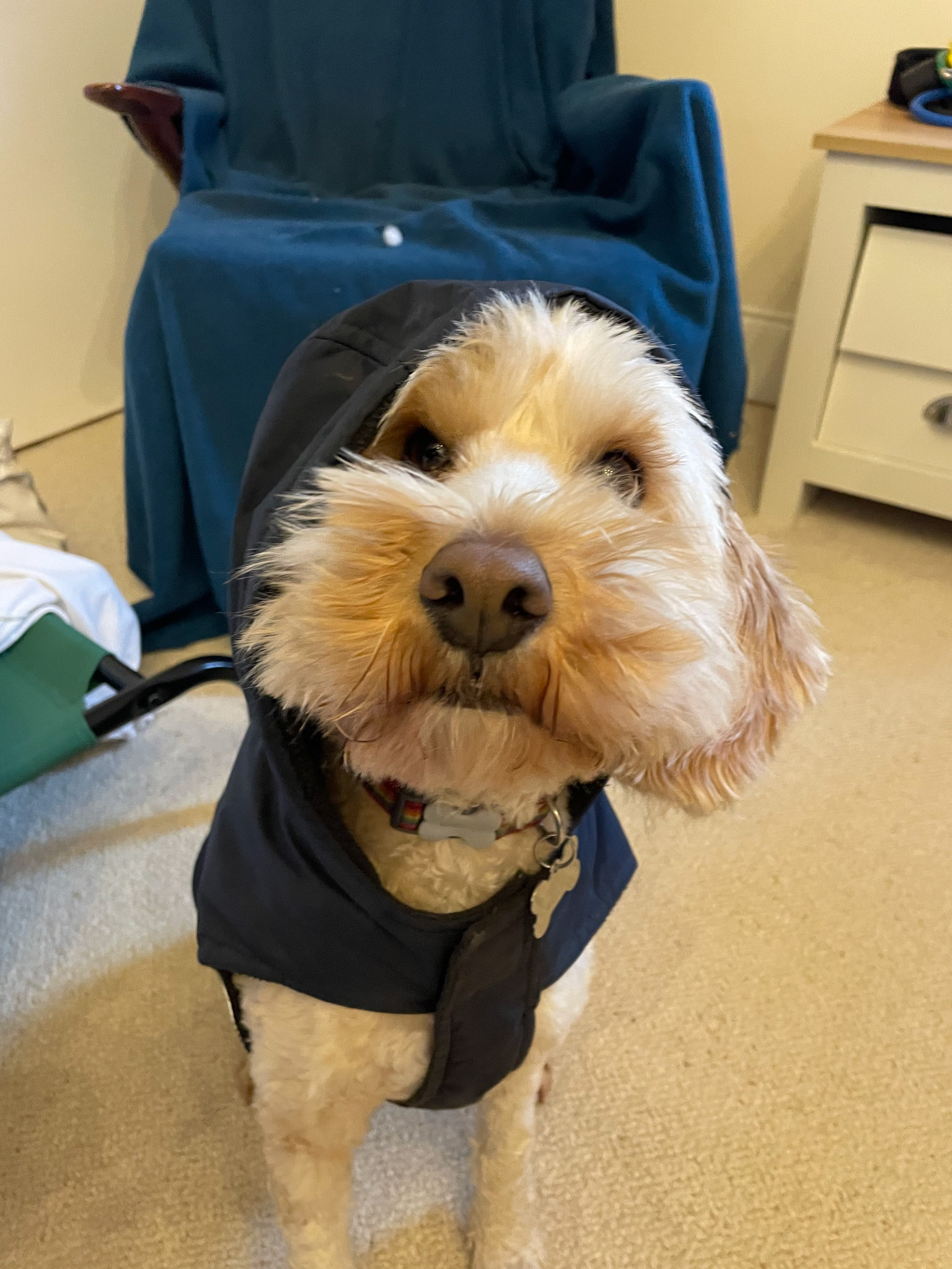 2022-03-02 - All good in the hood