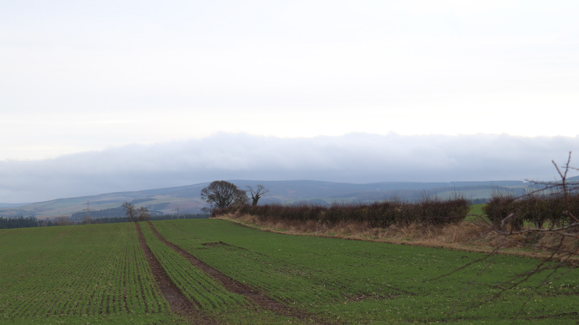2022-01-18 - Clouds looking like a higher set of hills