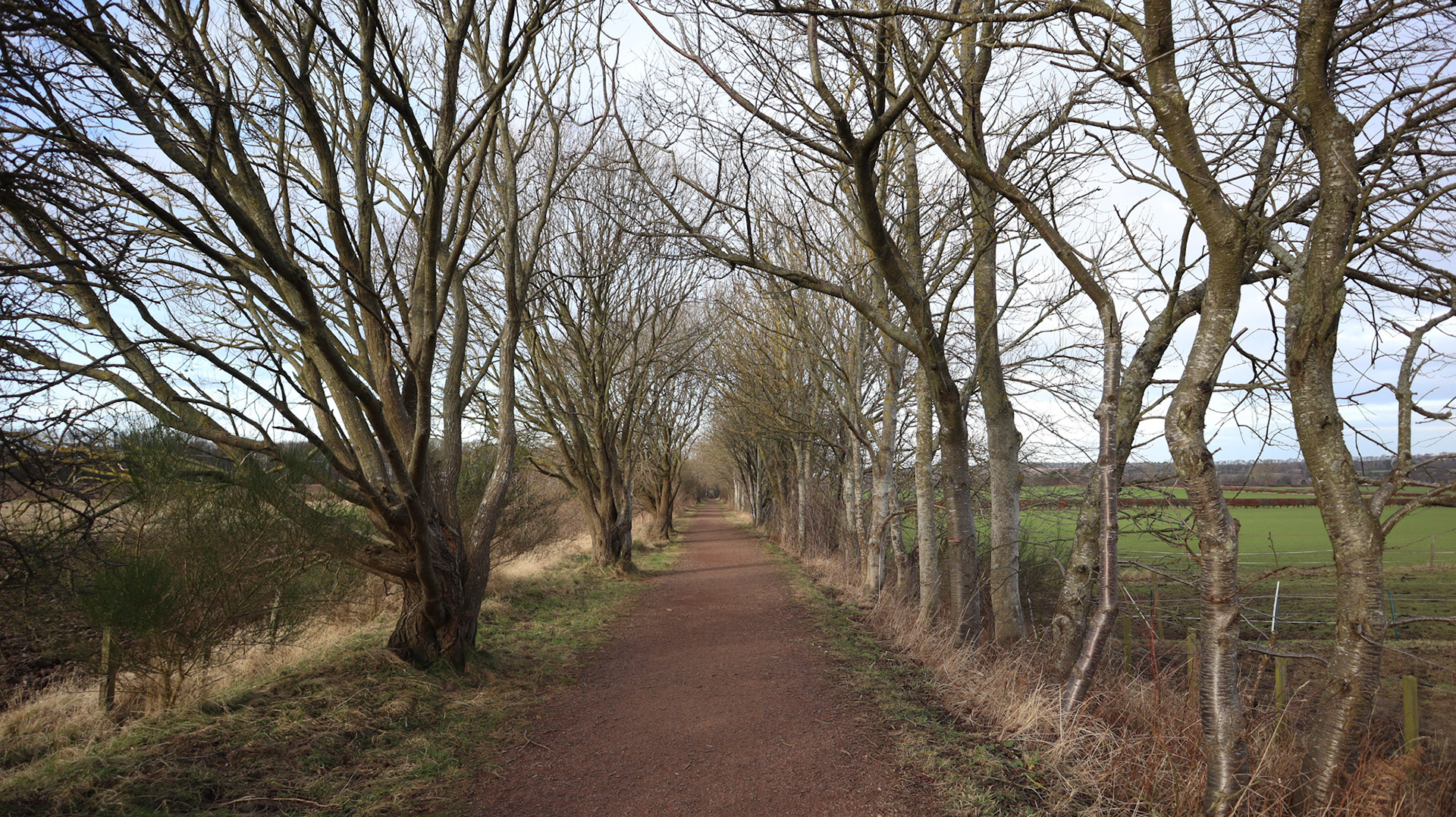 2022-01-20 - The path to Pencaitland