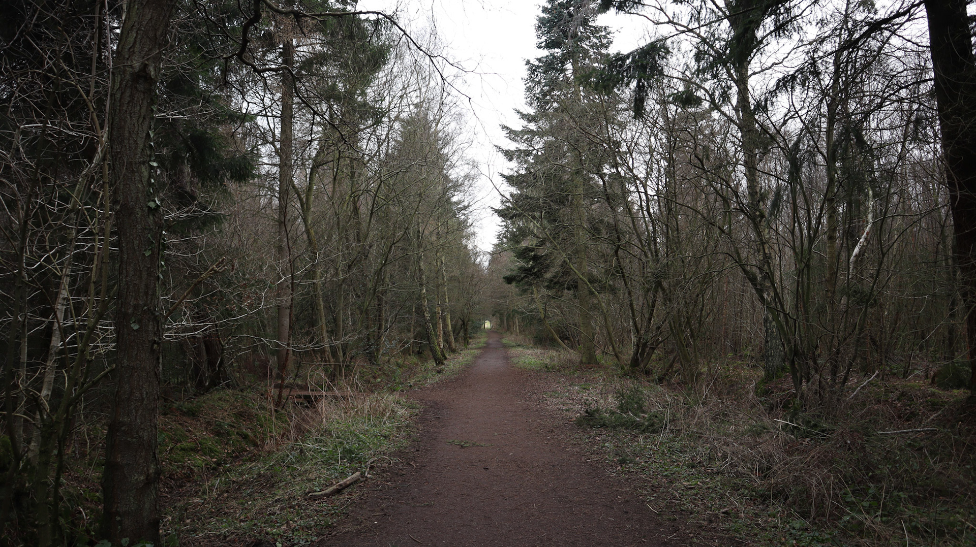2022-01-26 - Butterdean Woods