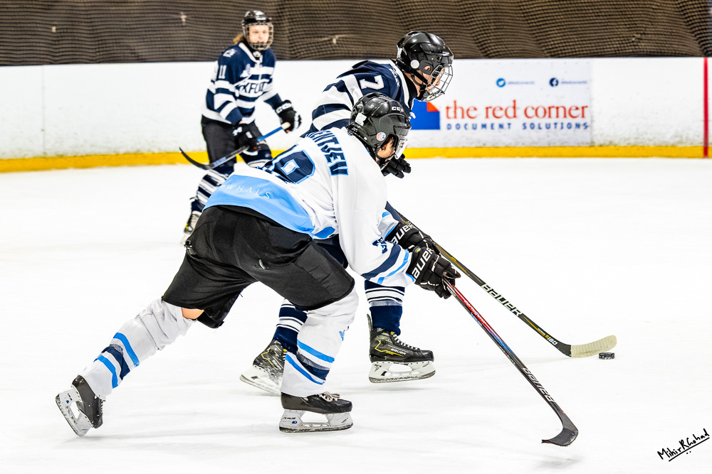 01-03-2025-220919_IceHockeyVarsityVikAvsNar_0733-Enhanced-NR_Website.JPG