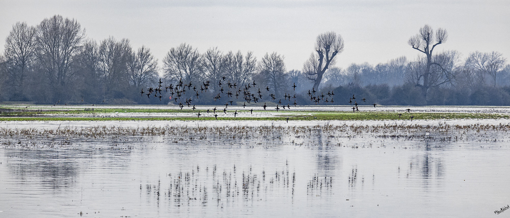 12-01-2025-114626_PortMeadow_498_Website.JPG