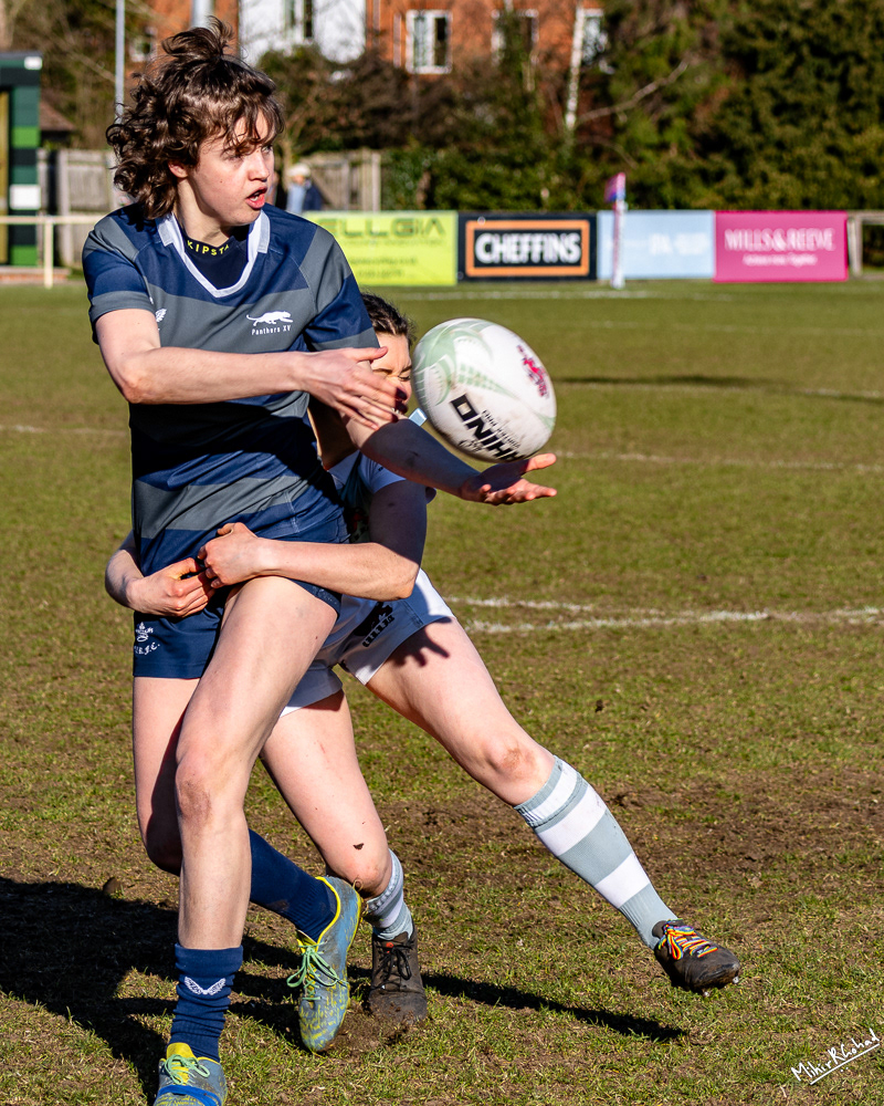 02-03-2025-150428_RugbyVarsityPanVsTig_0385_Website.JPG