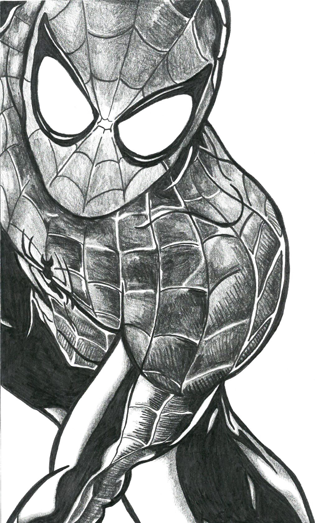 Spiderman - pencil drawing