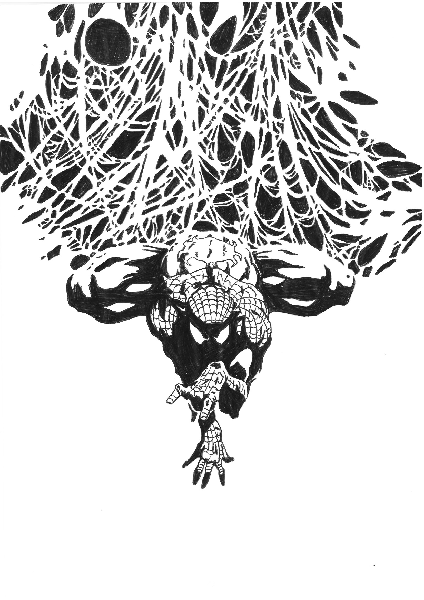 Spiderman - pen drawing