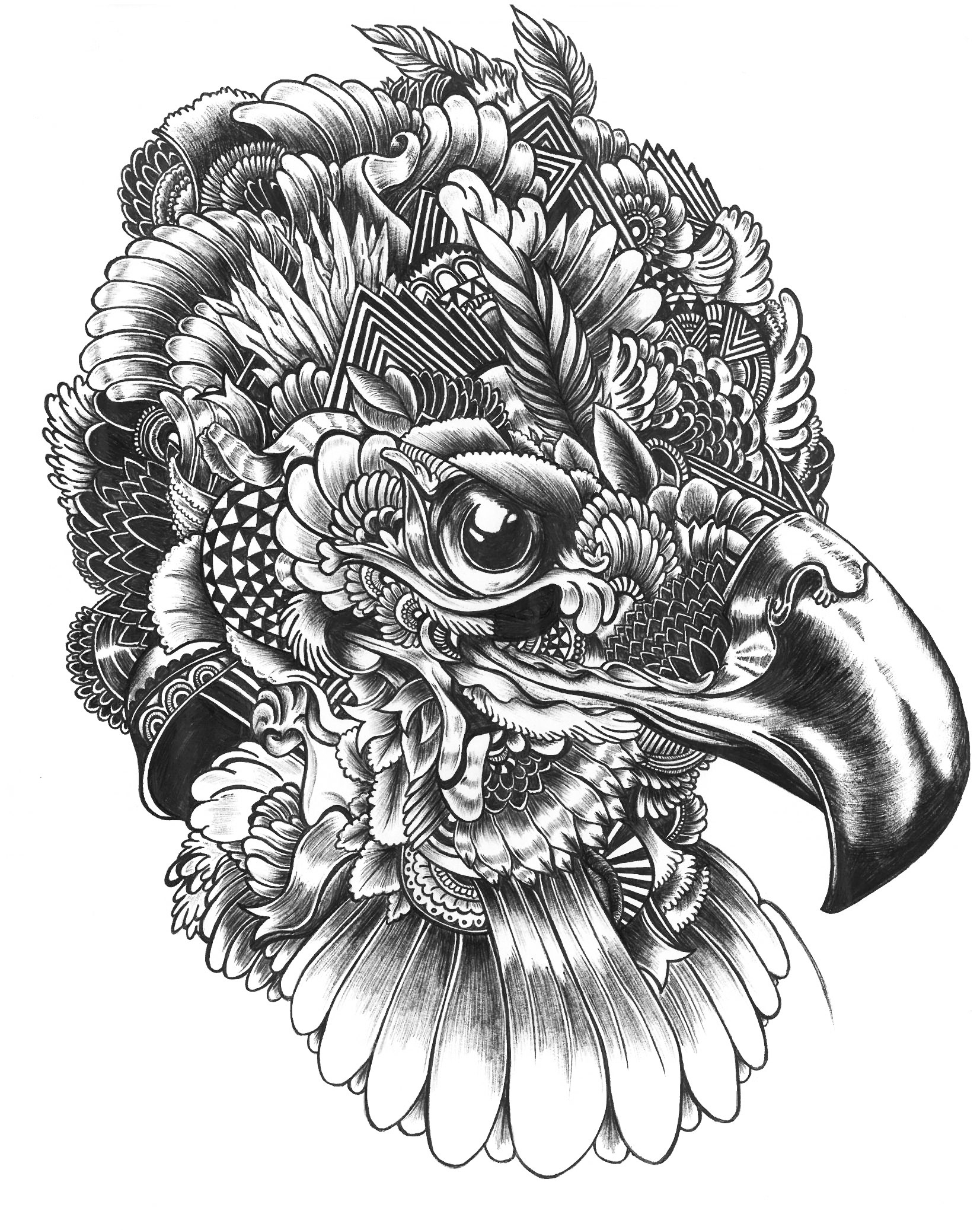 Eagle abstract - pen drawing