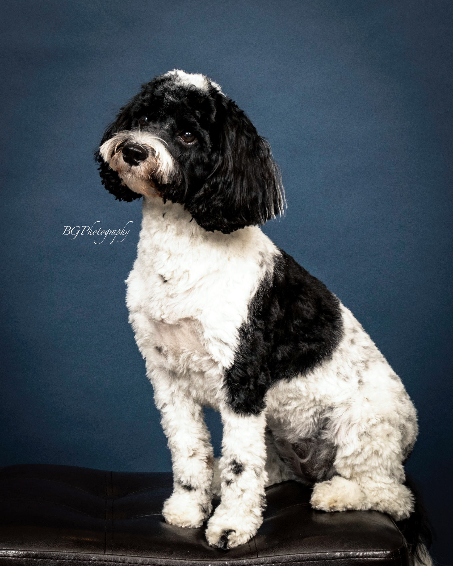 ©BG Photography