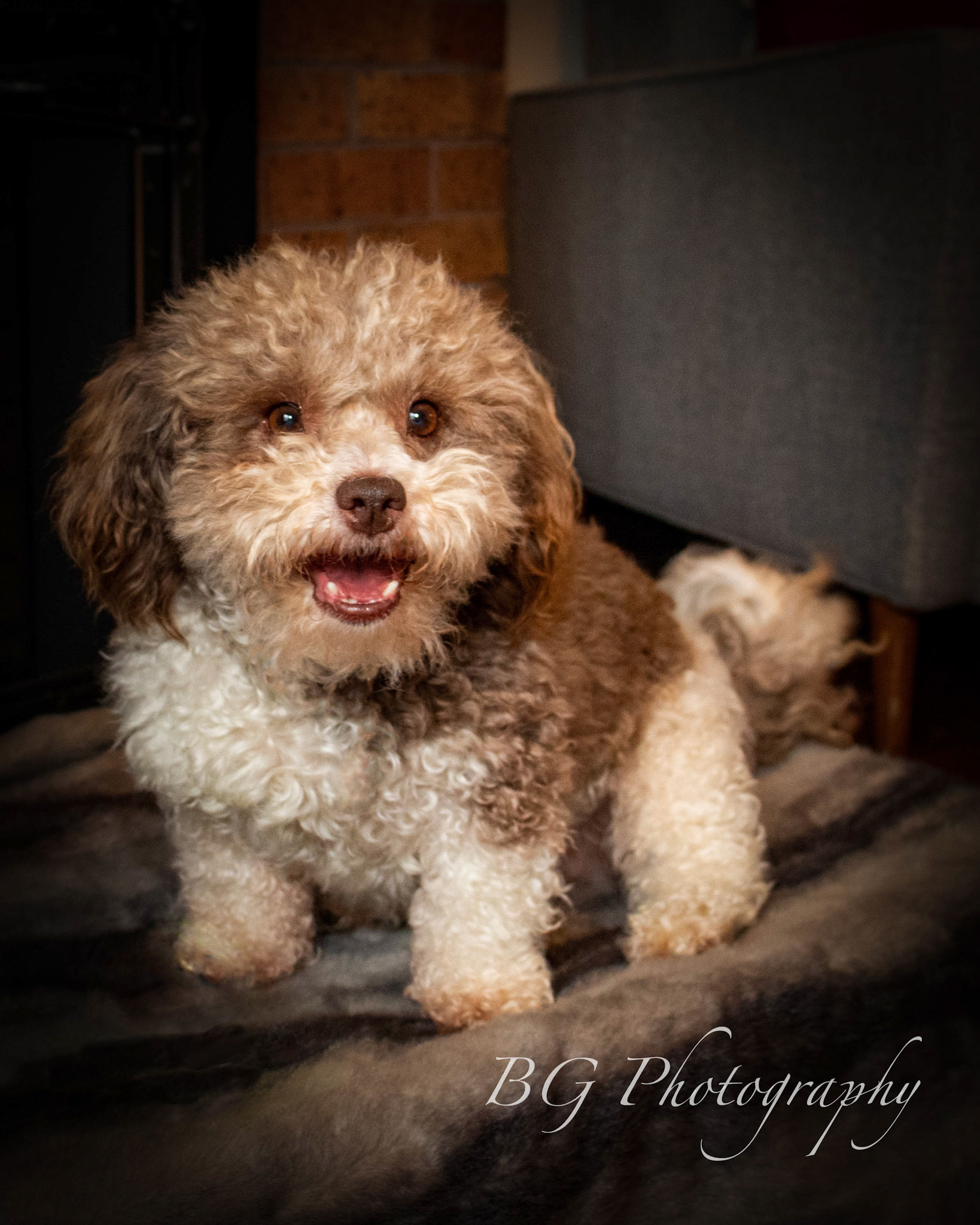 ©BG Photography
