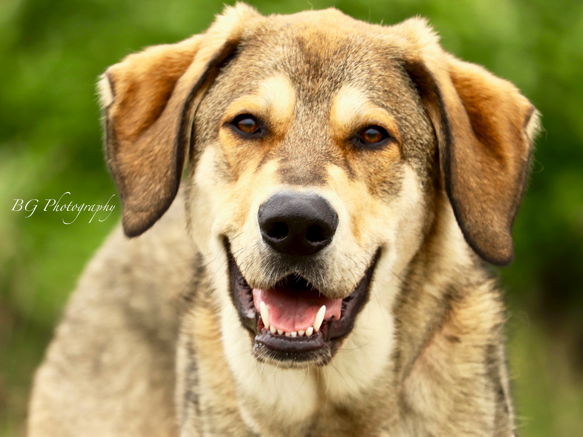 ©BG Photography