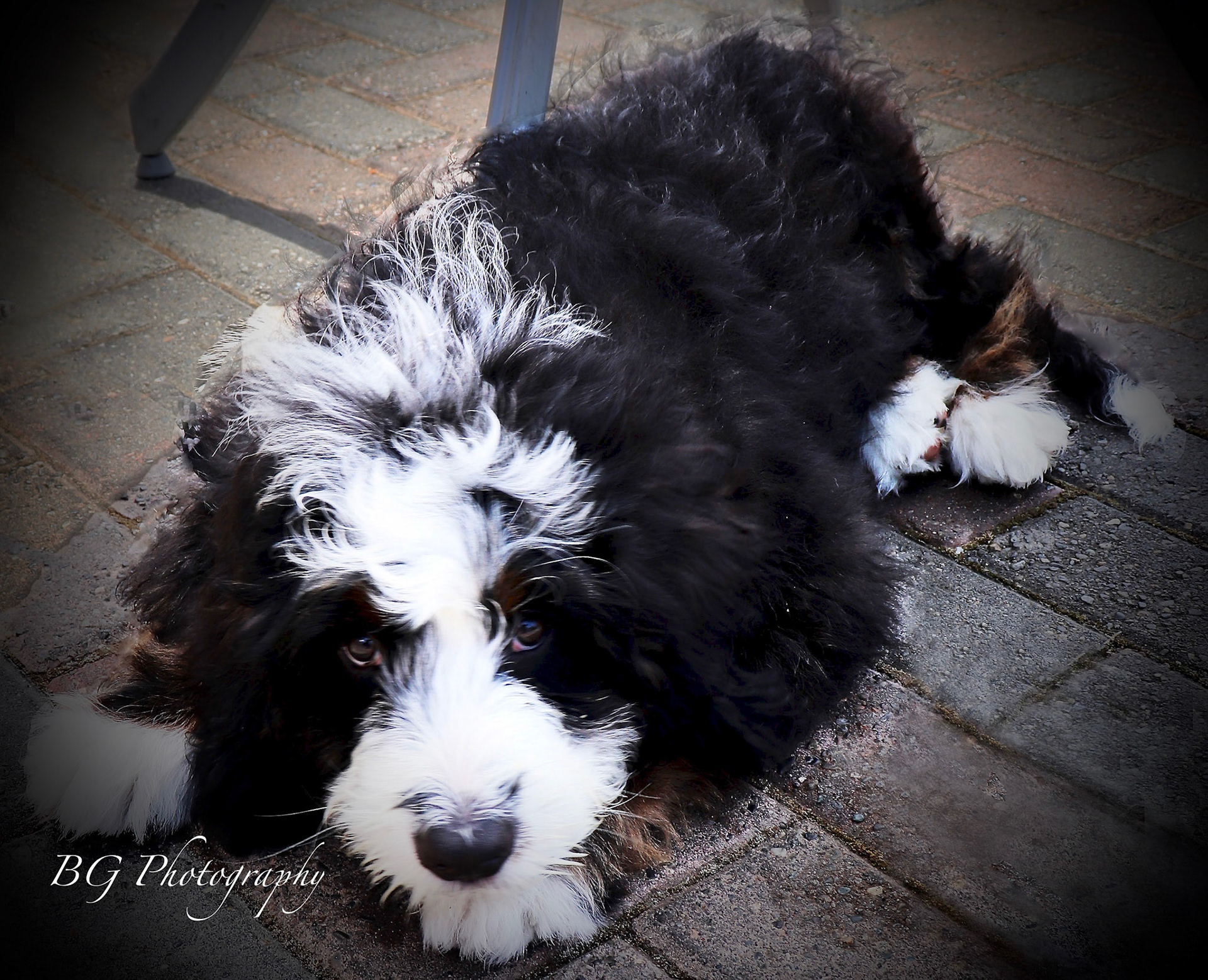 ©BG Photography