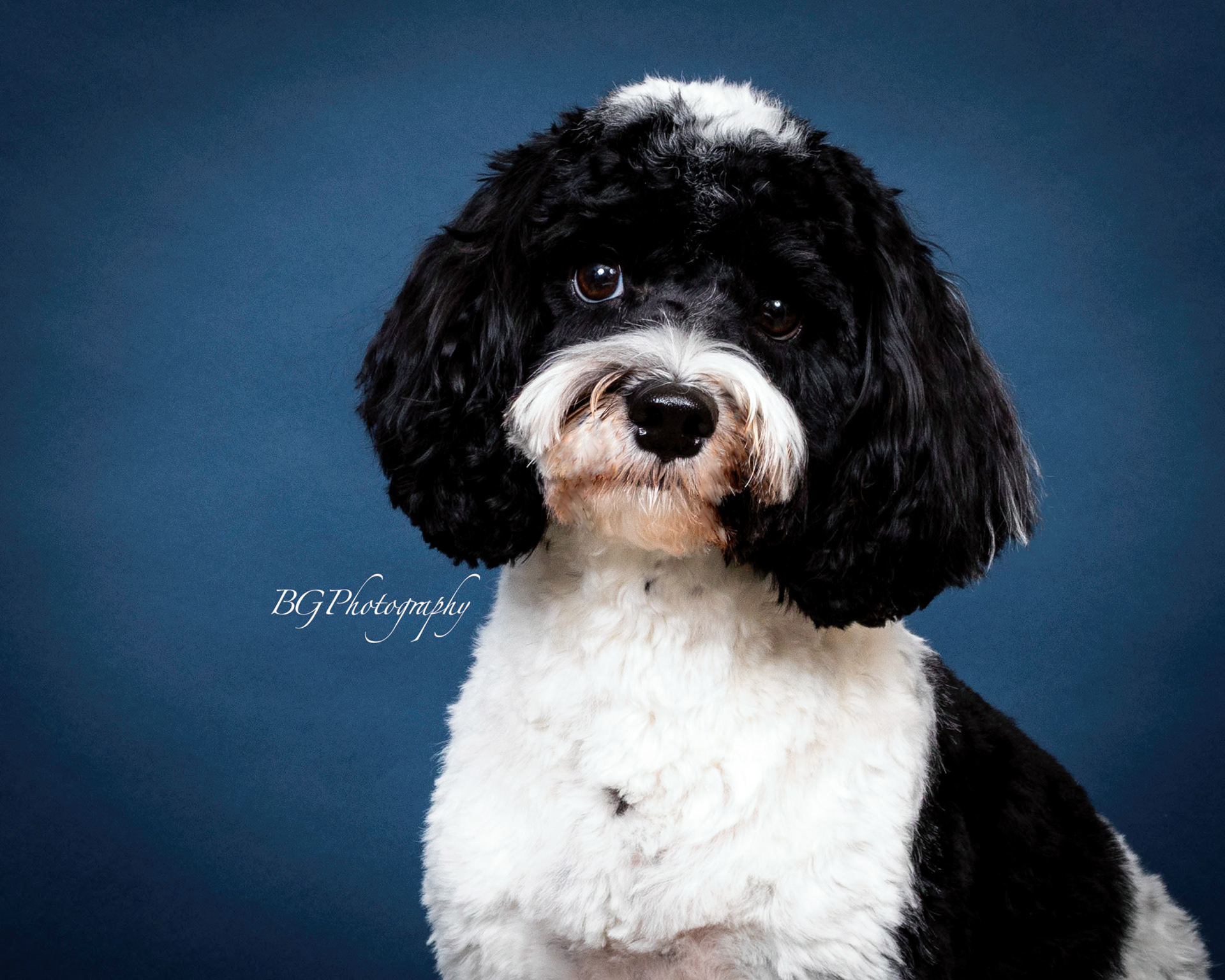 ©BG Photography