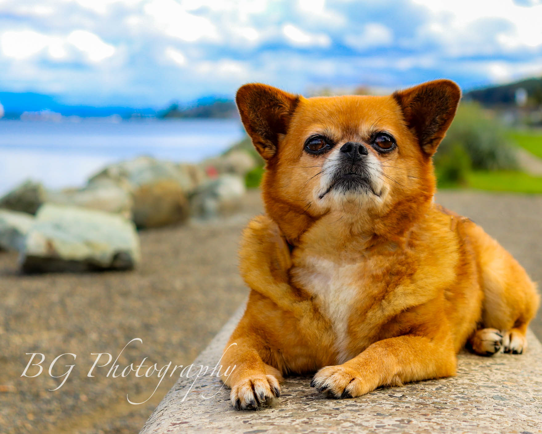 ©BG Photography