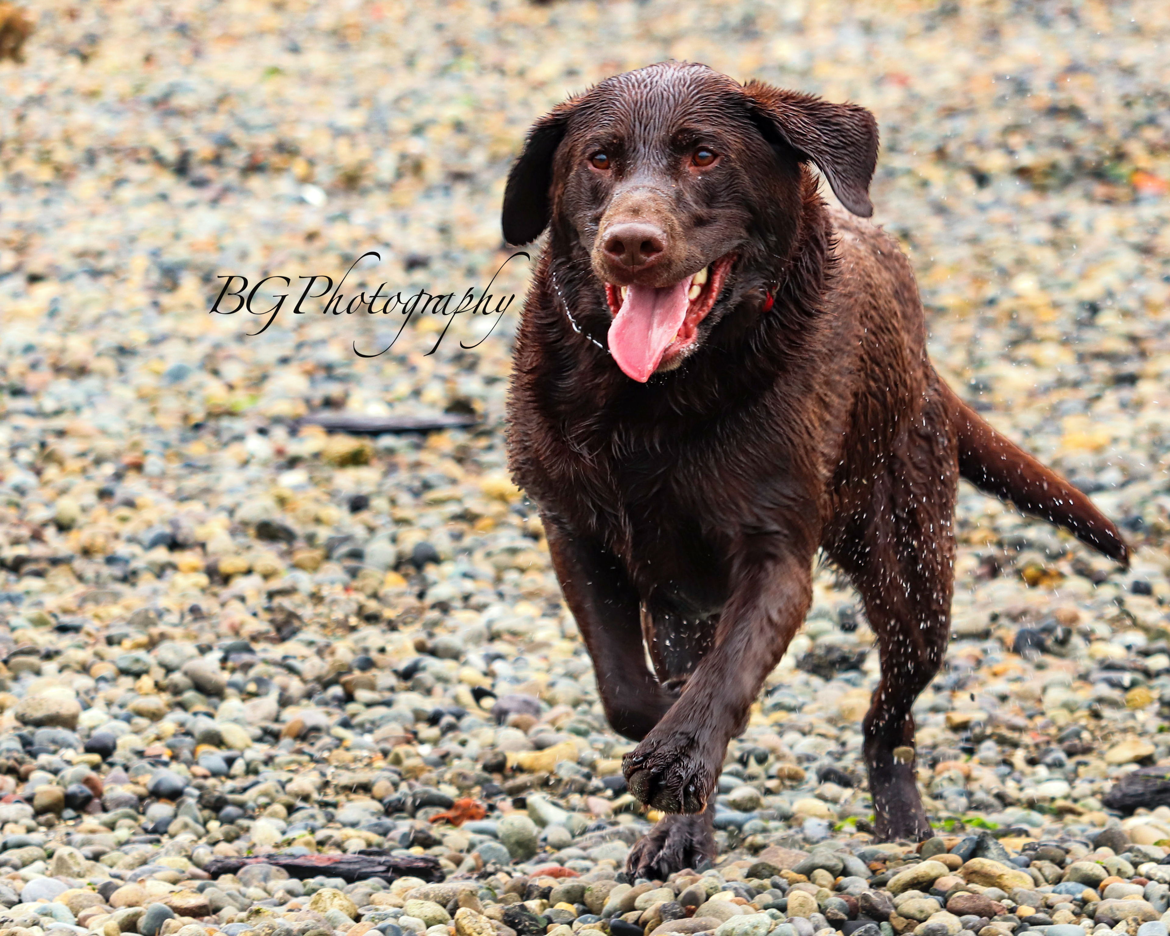 ©BG Photography