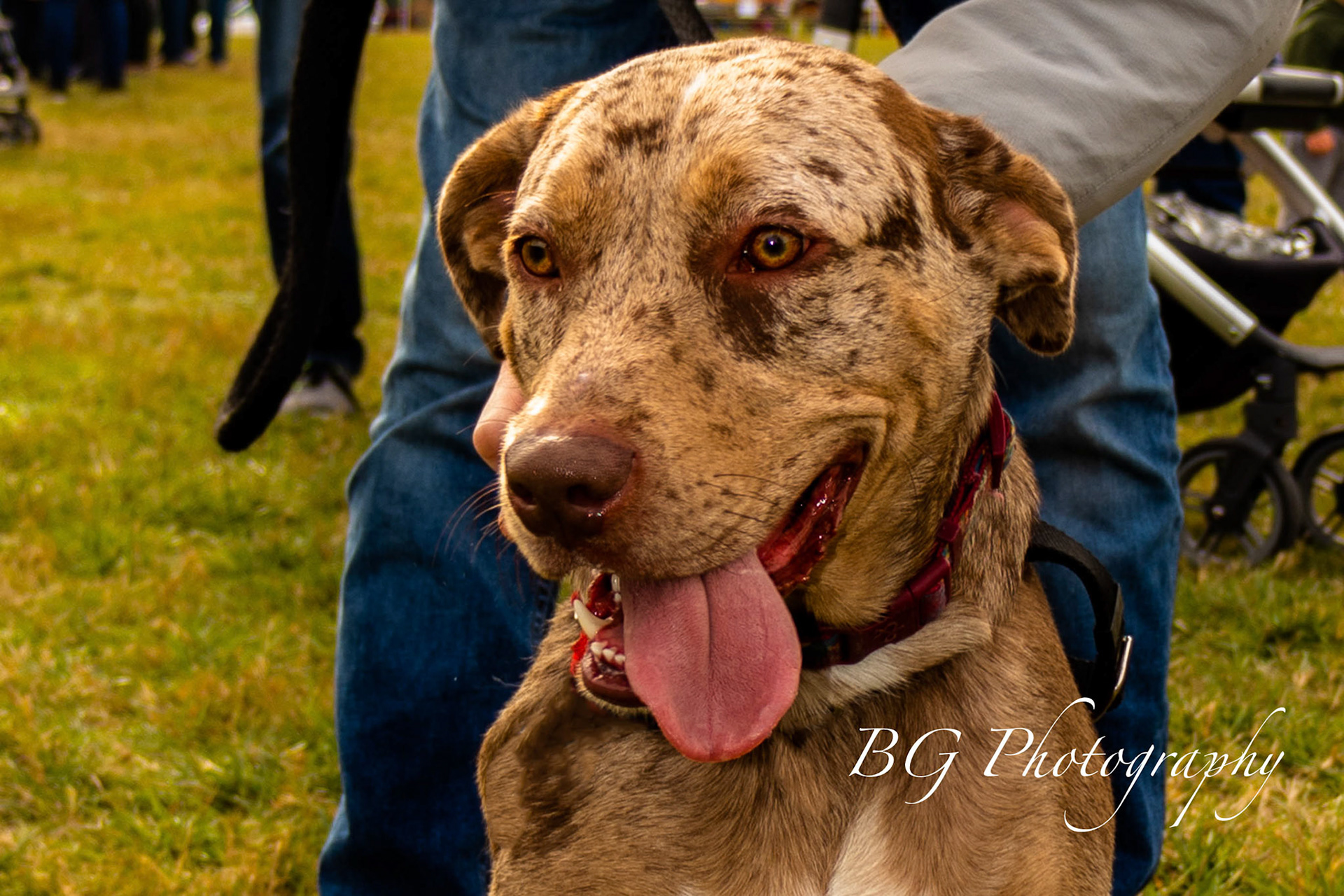 ©BG Photography