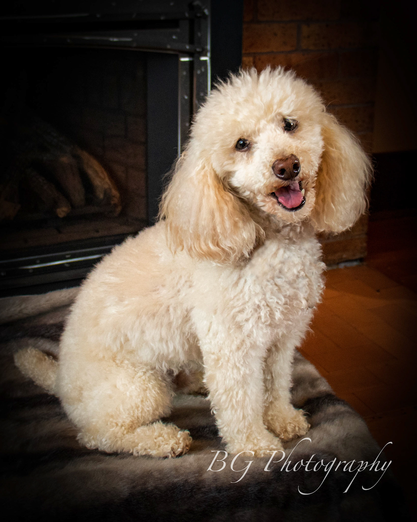 ©BG Photography