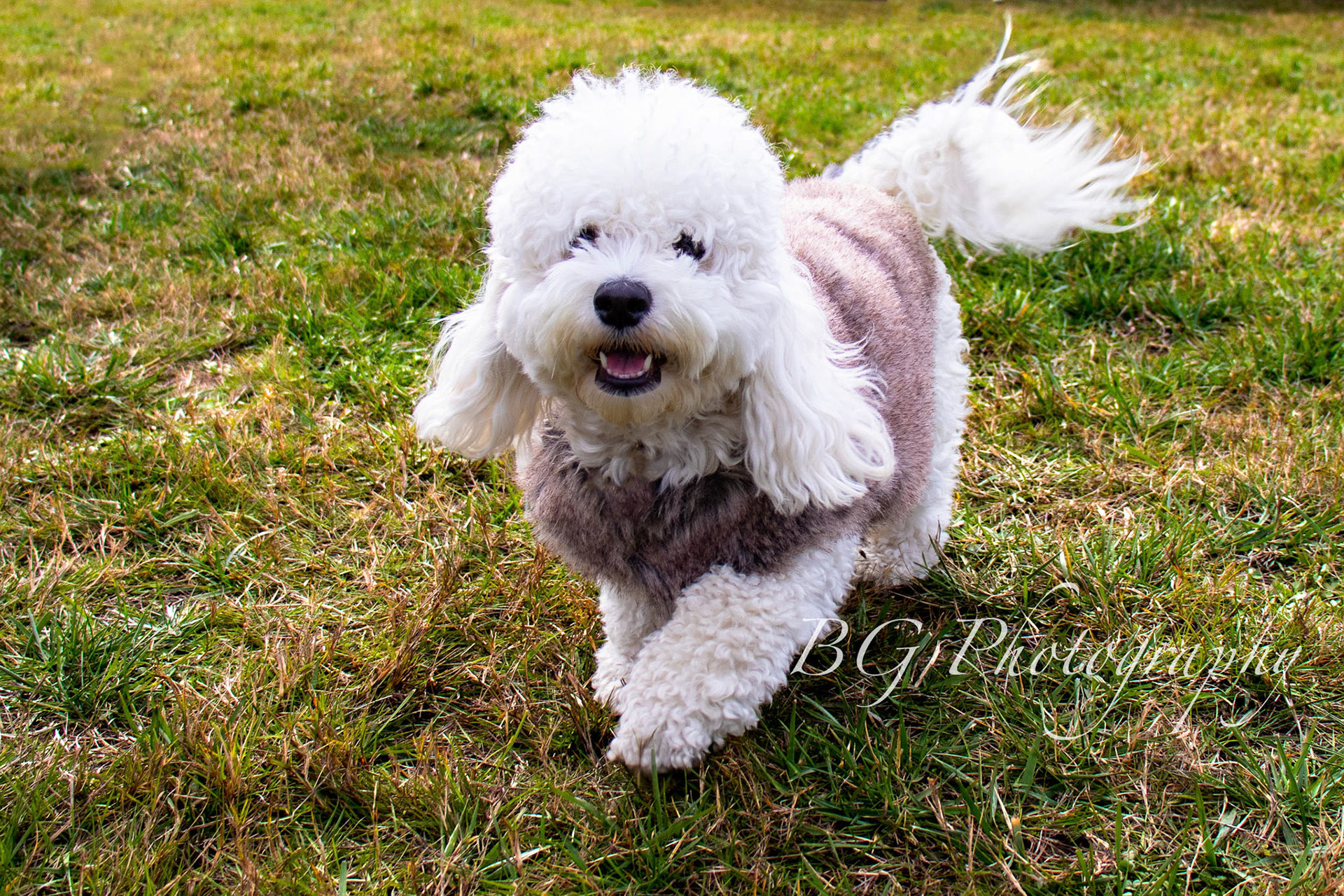 ©BG Photography