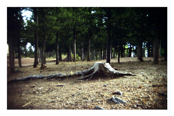 Sin dispositivo de medición ni enfoque para crear sin límites. Cámara Holga, edición BC (black corner) fabricada sobre 2011