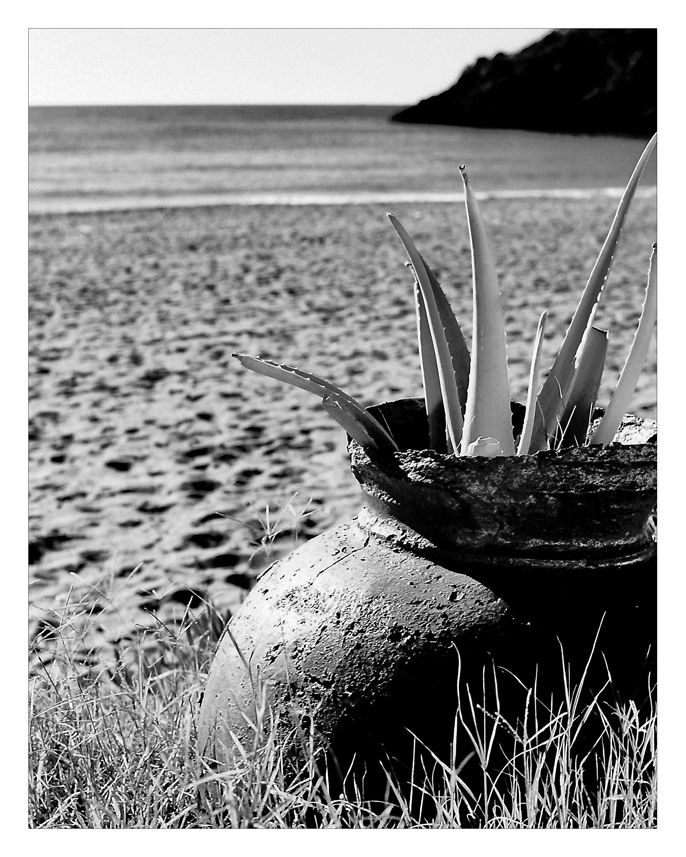 La época dorada del BW nítido como él solo, en todo su esplendor.  Cámara Praktica MTL 5B fabricada sobre 1985