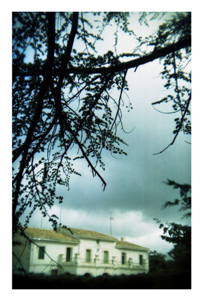 Contraluz mágico en una situación complicada de luz. Cámara Holga, edición BC (black corner) fabricada sobre 2011