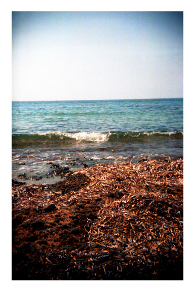 Aproximación donde cuenta el momento irrepetible. Cámara Holga, edición BC (black corner) fabricada sobre 2011