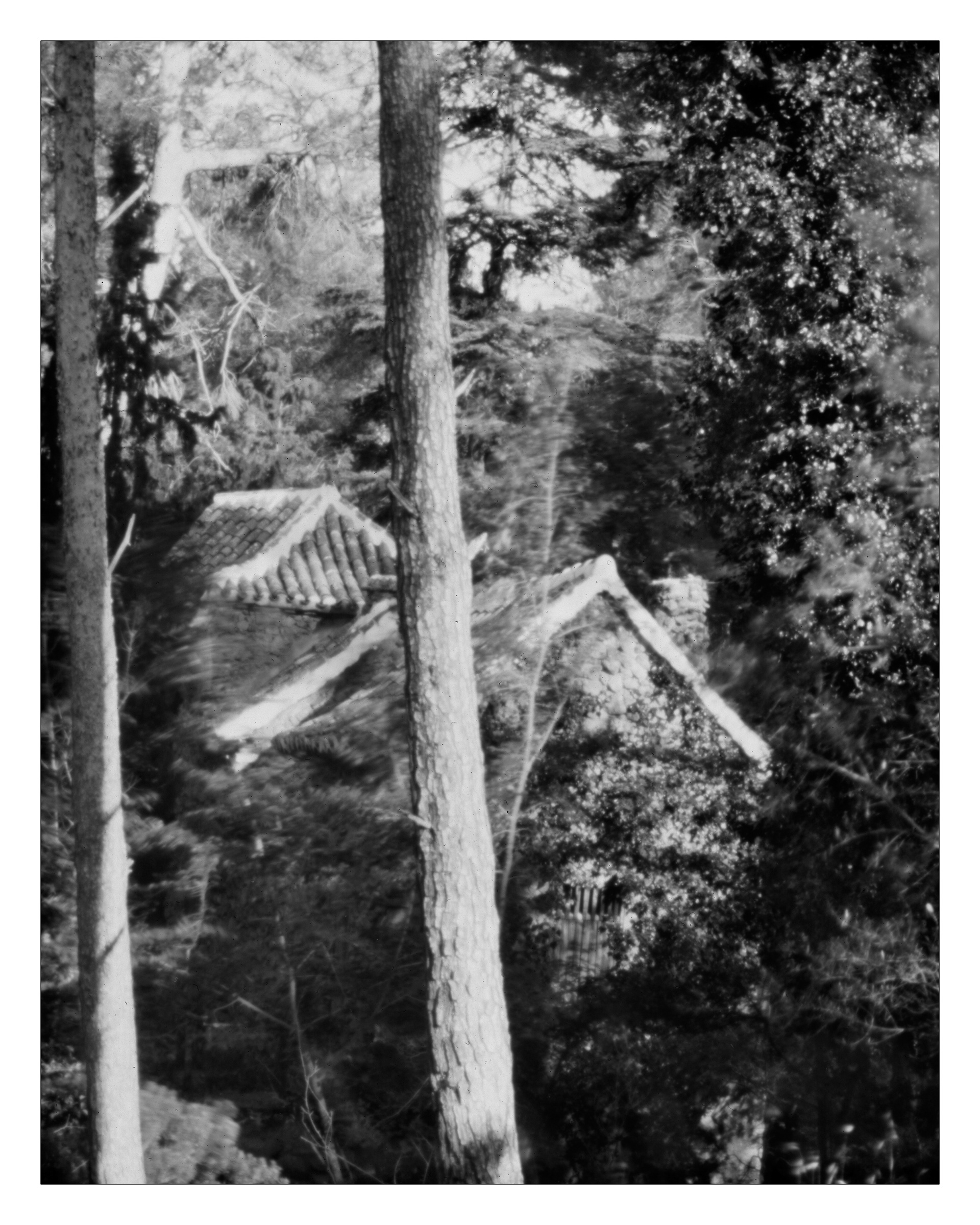La magia de un proceso fotográfico tal y como se realizaba en 1850. Cámara Estenopéica para negativos de 20x25 cm fabricada en 2013