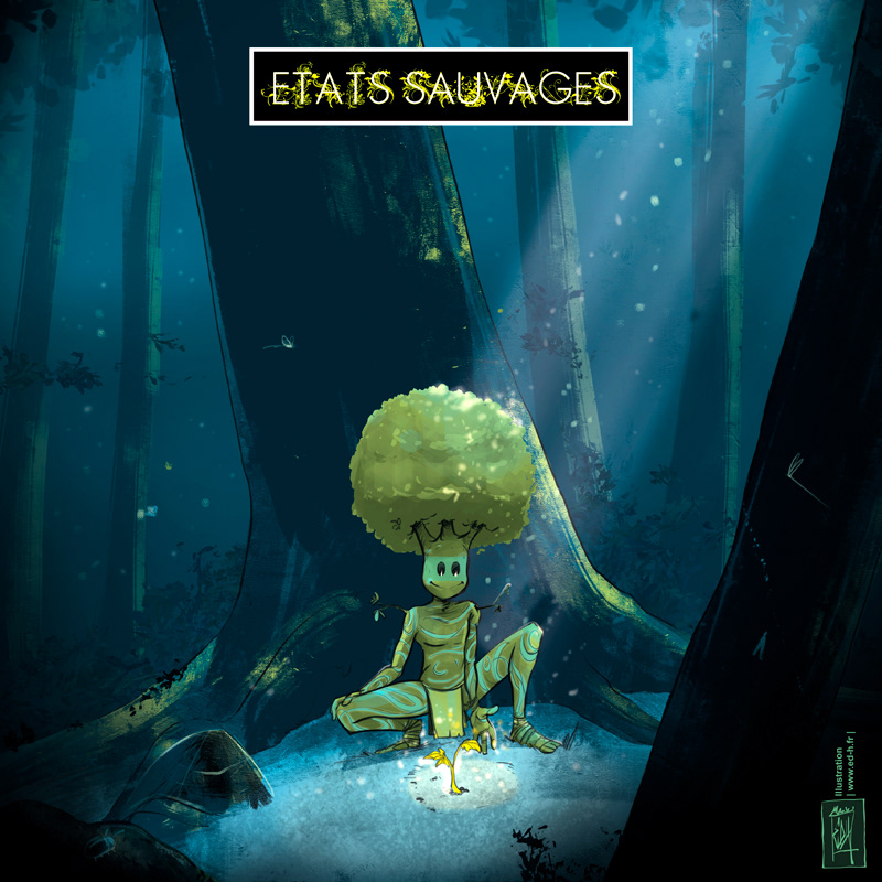 Affiche pour l'association "Etats Sauvages"