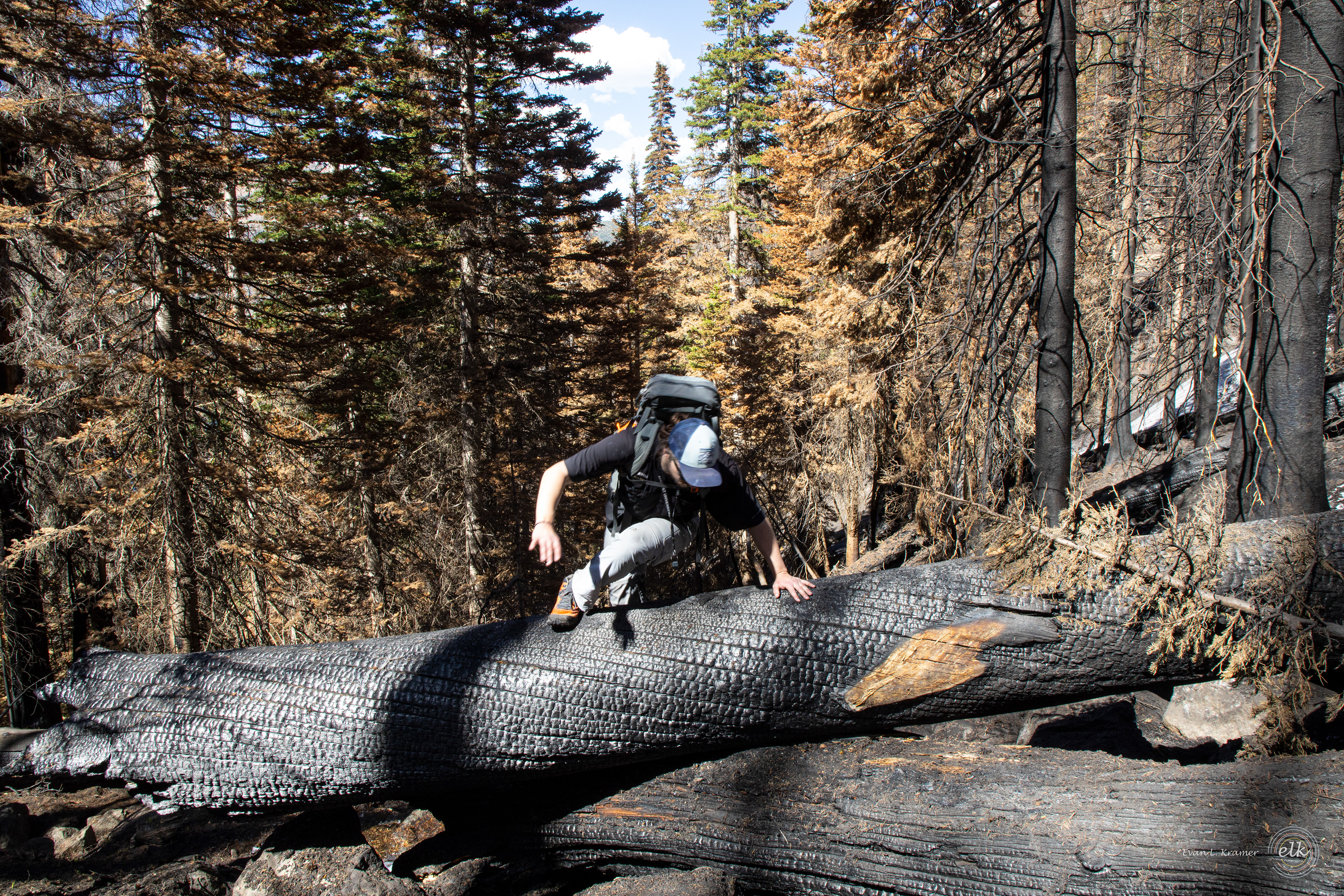 Burn zone navigating 2. Rocky Mountain NP, CO.